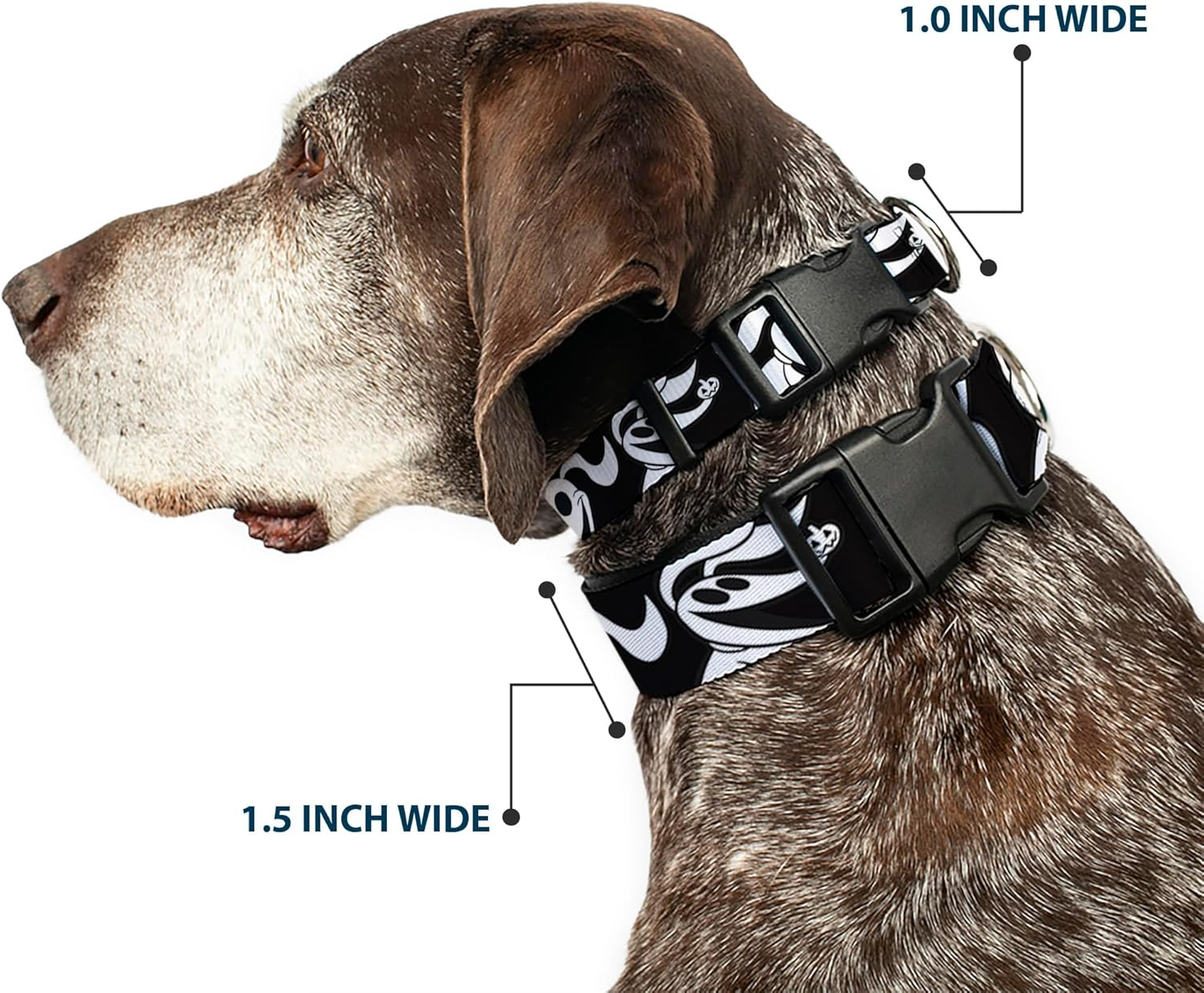 Dog Collar Plastic Clip Nightmare before Christmas Zero Expressions Black White 6 to 9 Inches 0.5 Inch Wide image number 5