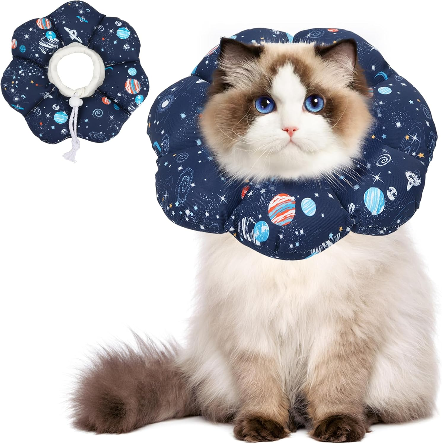 Comsaf Soft, Protective Adjustable Cat Cone Collar to Stop Licking after Surgery, Comfortable Lightweight Elizabethan Collar for Large Cat and Small Dog, Dog Recovery Collar Prevents Licking Wounds