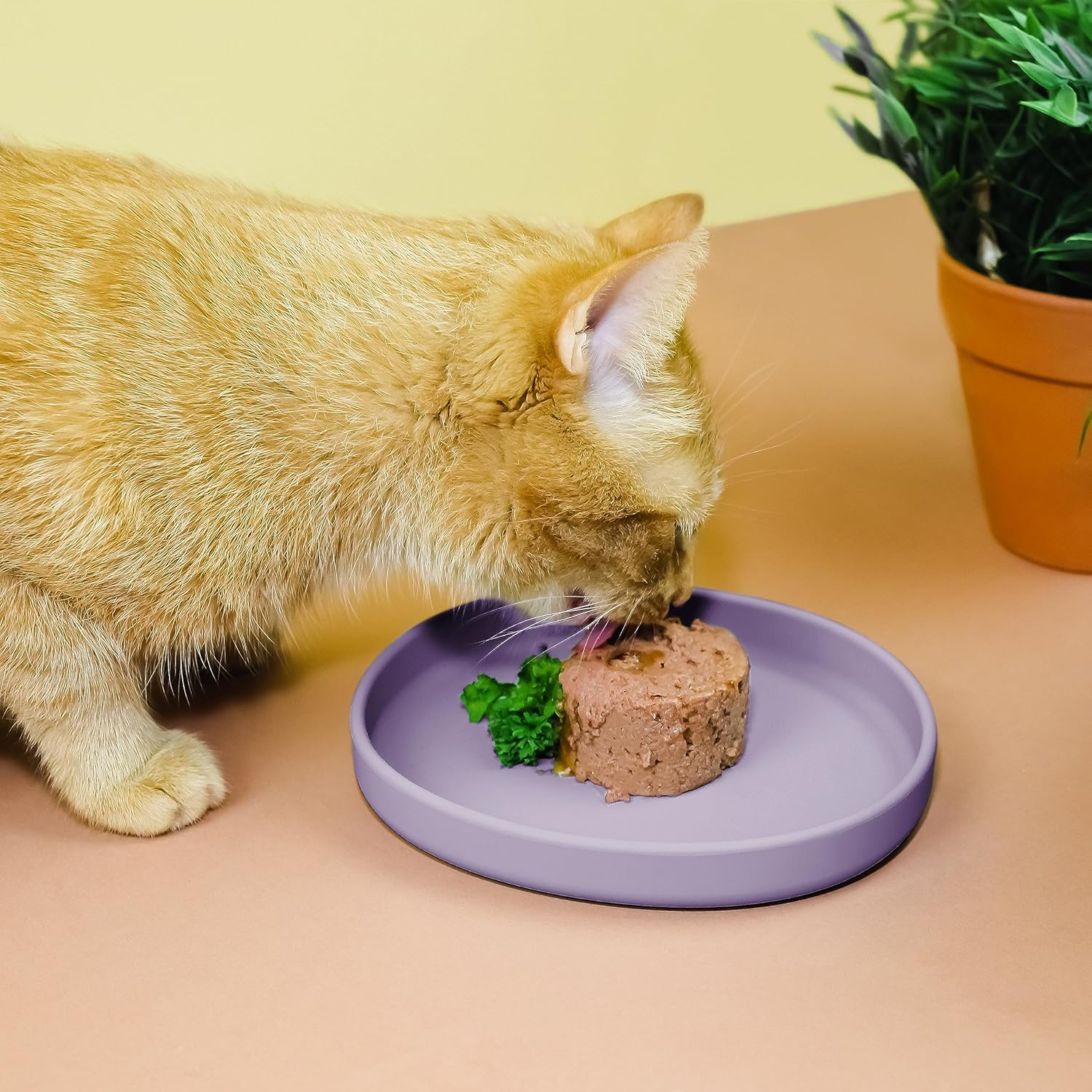 Ne&No Nala Collection Feeding Bowl for Cats Flat Cat Bowl Silicone Bowl Wide Feeding Bowl Cat Cat Bowl Silicone Bowl Cat Food Plate image number 5