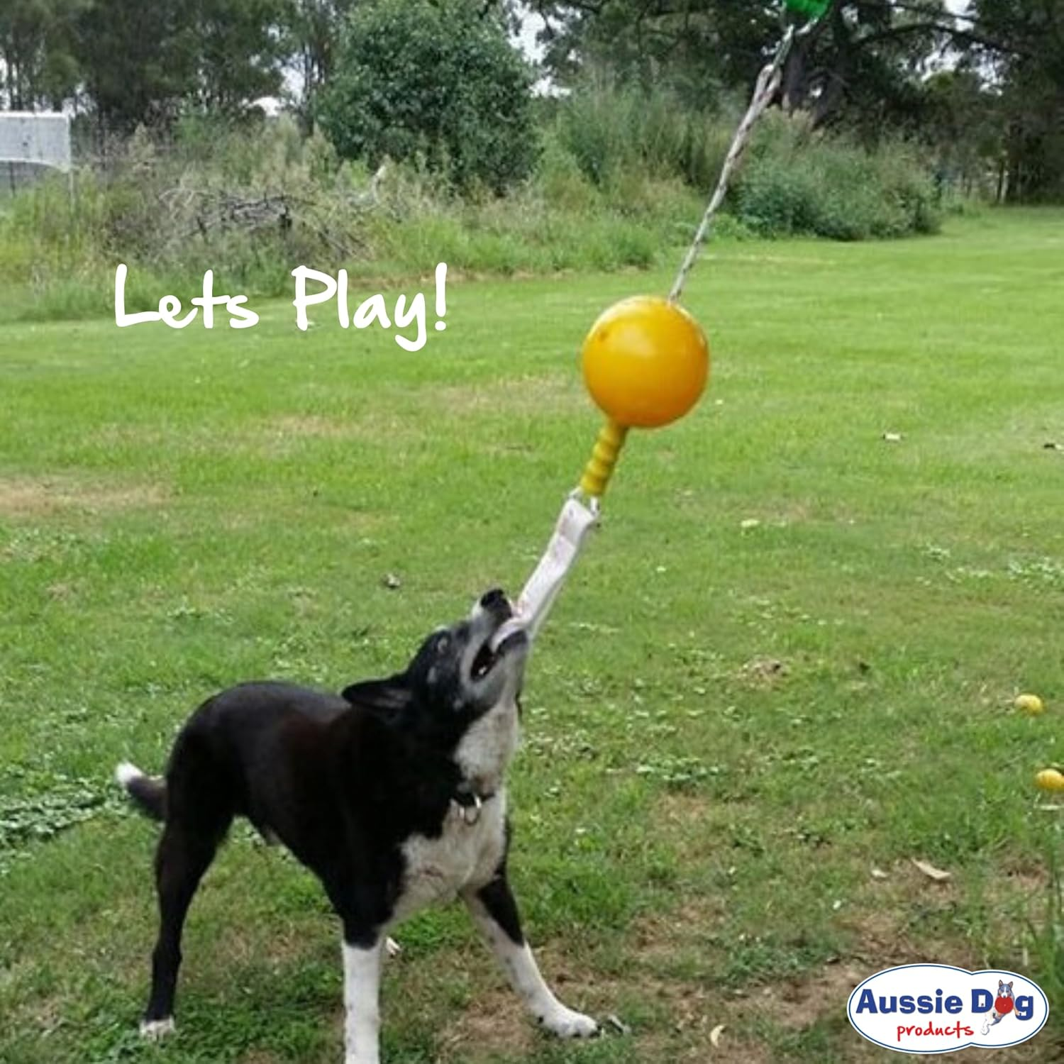 Aussie Dog Home Alone Toy for Medium Dogs (10-30Kg) Interactive Tug & Treat Ball | Mental Stimulation Chew Toy | Food Dispenser for Boredom Relief | Outdoor Durable Hanging Dog Toy image number 5