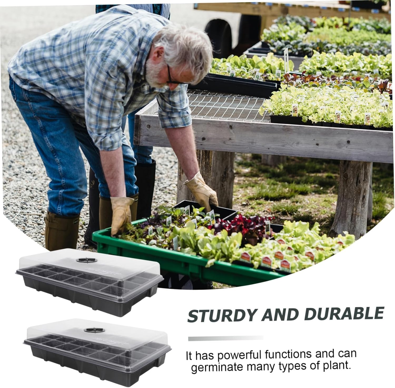 2Pcs Black Plastic Nursery Tray with 24 Holes and Ventilated Lid, Seedling Germination Container for Garden Planting and Hydroponic Seed Starting image number 4