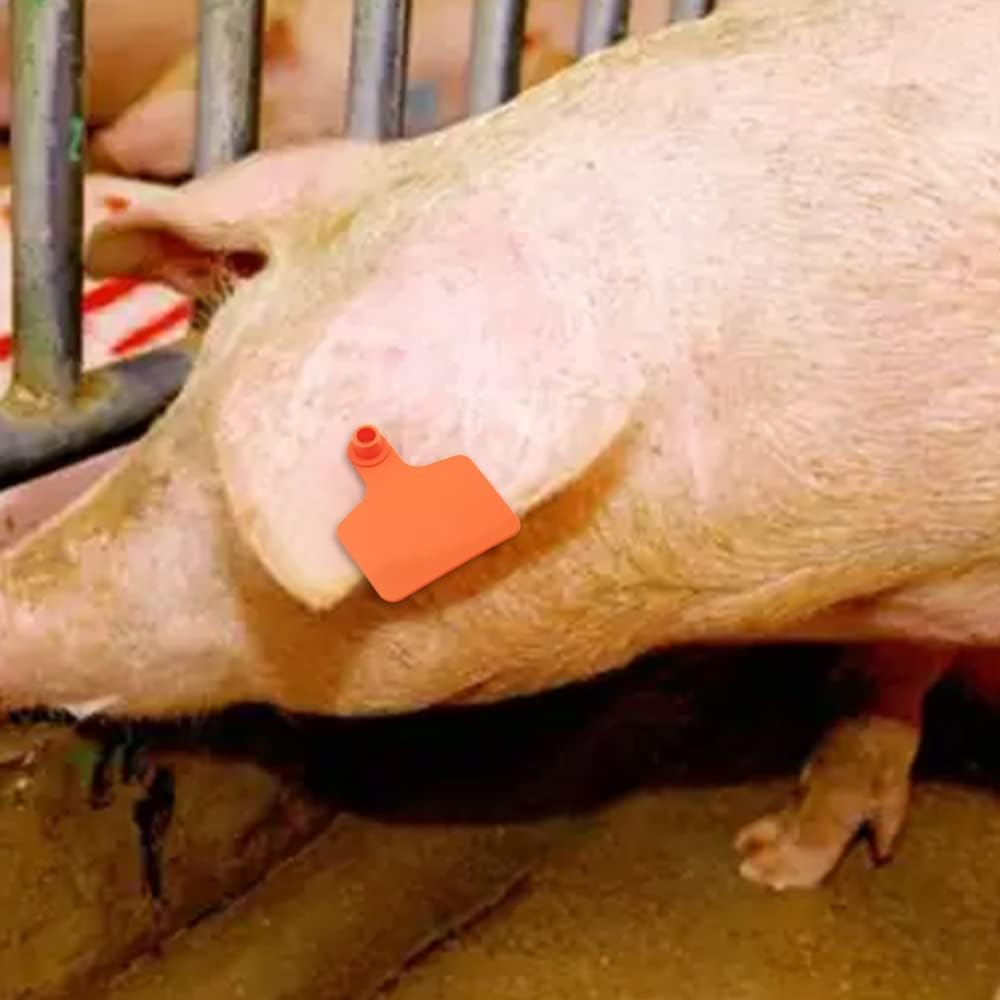 Blank Cattle Ear Tags 100 Pieces TPU Large Livestock Ear Tags Customized Identification Blank Tags for Sheep Cattle Calf Hog (Orange)