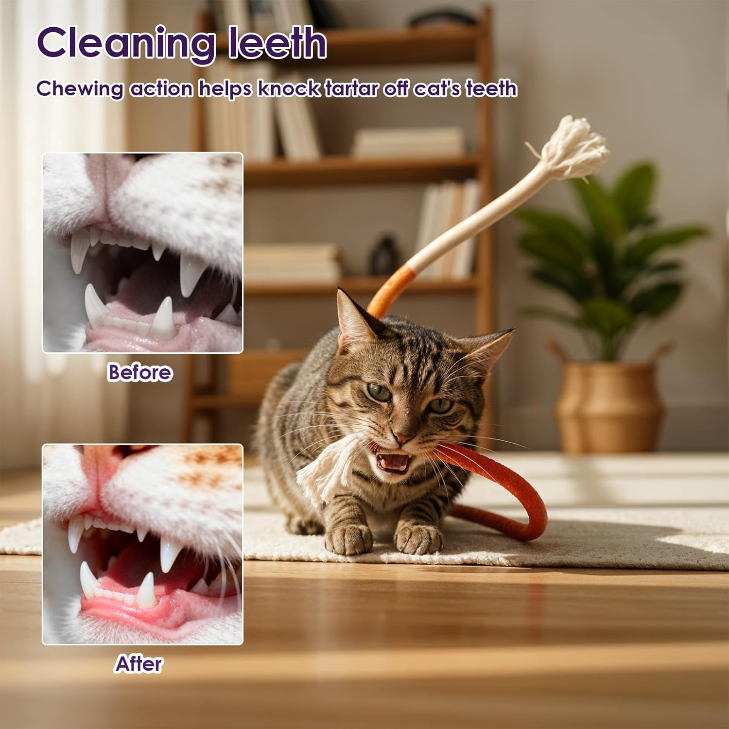 YBEATY 6Pcs Cat Chew Rope Toy Interactive Cat Nip Kicker Toy Pet Chew Toys Bent Cats Rope Toys Bite-Proof Playthings Kitten Chewropes Pet Supplies for All Breeds Cats Teeth Cleaning Stress Relief image number 6