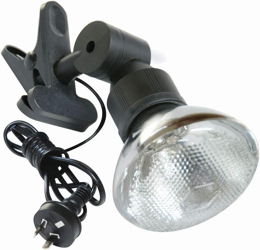 HPM PAR38 150W Incandescent Single Portable Floodlight with Flex & Plug