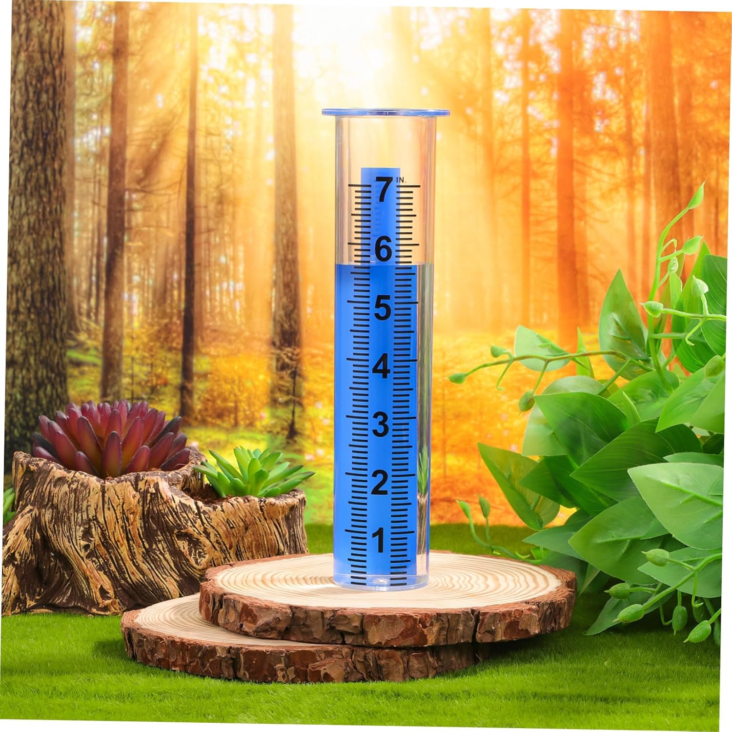 Didiseaon 2 Pcs Rain Gauge Replacement Tubes Outdoor Plastic Water Measuring Tool with Clear Markings for Garden Lawn Patio Use Weather-Resistant image number 2