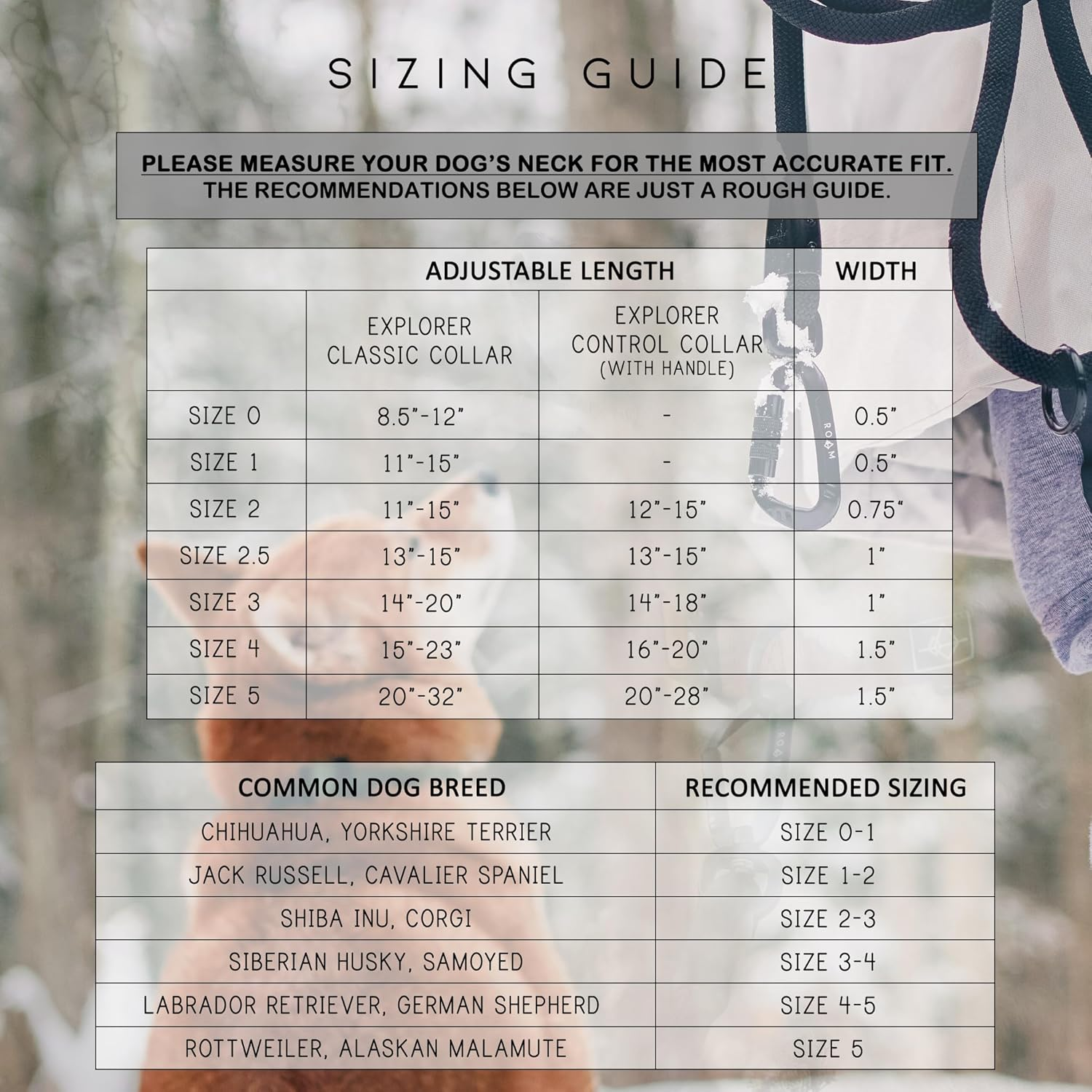 ROAM Premium Dog Collar - Adjustable Heavy Duty Nylon Collar with Quick-Release Metal Buckle (Colorado Nightsky, Size 1) image number 3