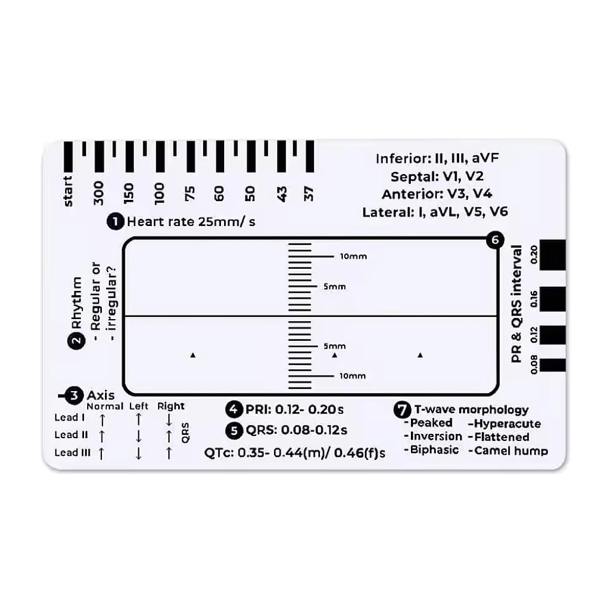 ECG 7 Step Ruler