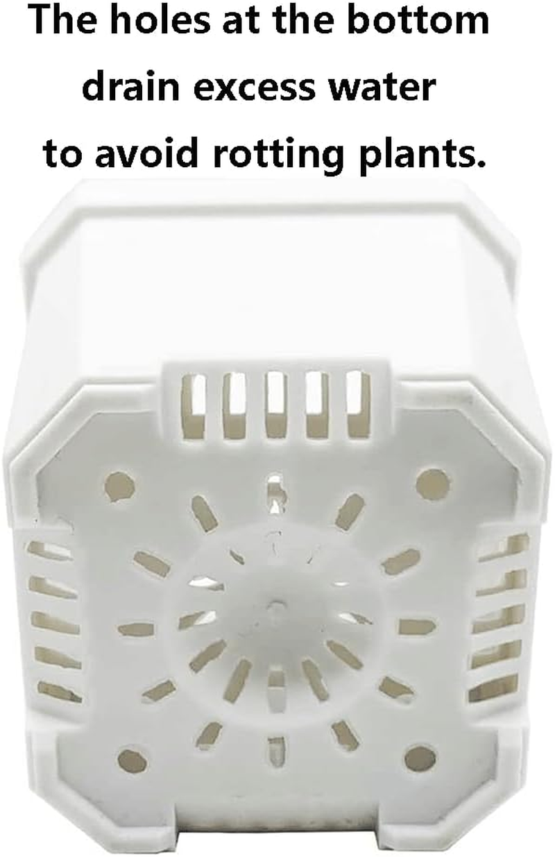 Sagasave 12 Sets Plants Nursery Pot, 15.5Cm Plastic Square Nursery Flower Pots with Humidity Dome and Tray, Small Flower Plant Container for Seedlings, Cuttings, Transplanting (Transparent) image number 6