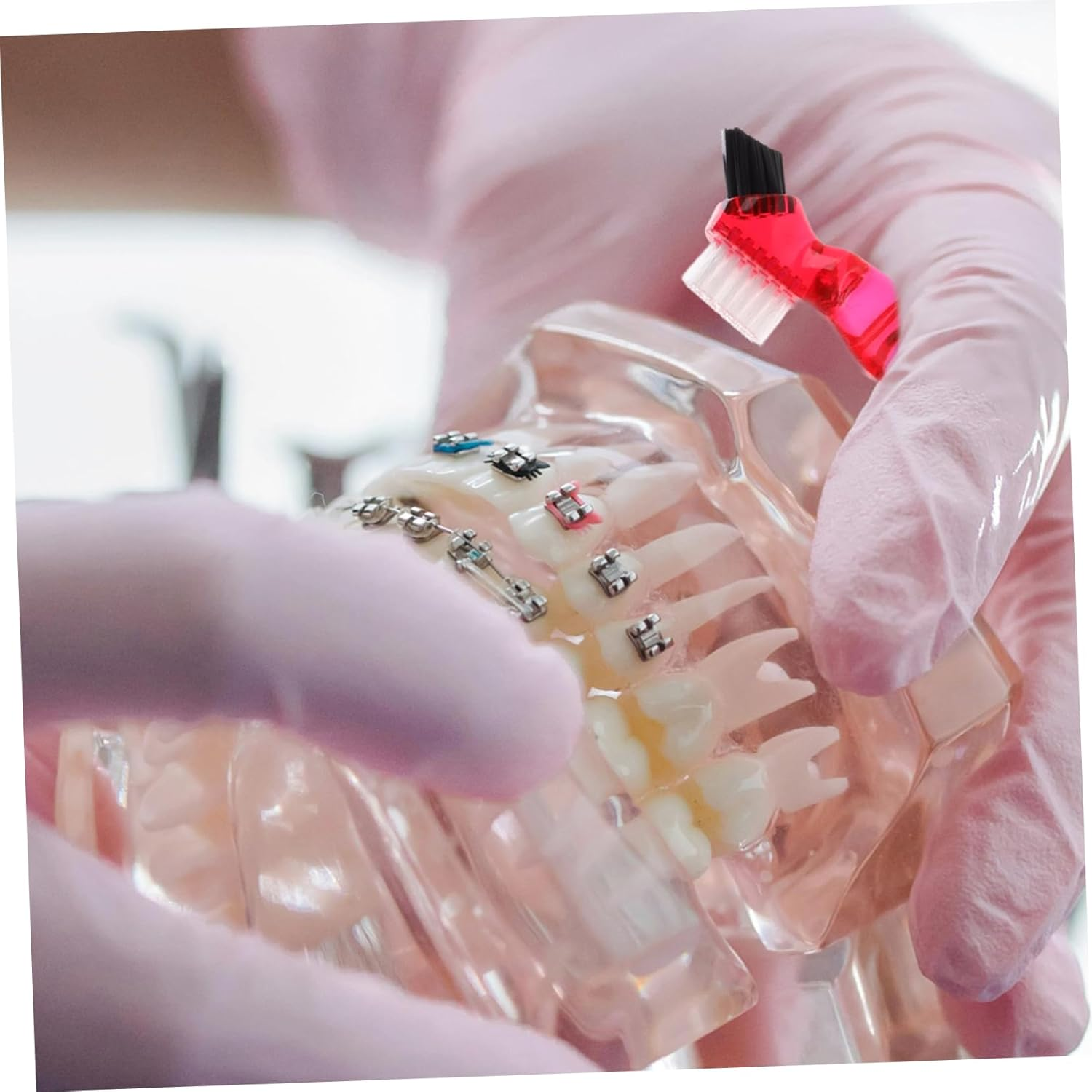 SAFIGLE 4Pcs Denture Brush and Dental Retainer Cleaner Set with Hard Bristles, Short Handle False Teeth Cleaning Toothbrush for Oral Care and Dental Hygiene in Blue Green Red Orange