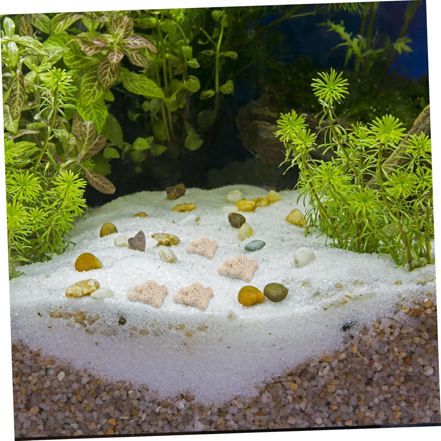 ERINGOGO 1 Crushed Coral Material Pond Sand Fish Water Cleaner Aquarium Crushed Aquarium Coral Feeder Aquarium Aquarium Test Kit Canister UV Torch Sponge Aquariums image number 1