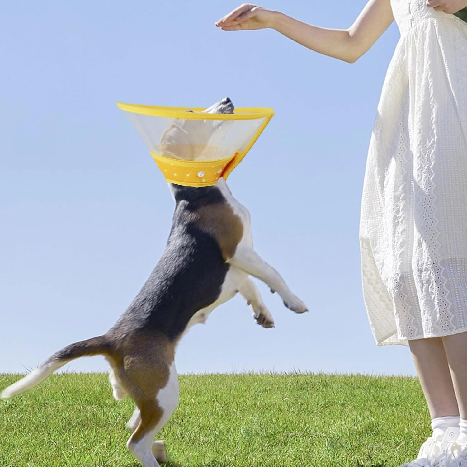 Pet Cone Recovery Dog Cone Adjustable Dog Collar Clear Padded Collar with Breathable Soft Edge, Plastic Puppy Cone Protect the Neck Surgery Recovery, for Cats and Puppies (Yellow, L) image number 3