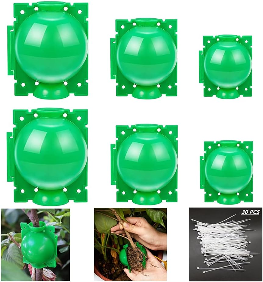 Plant Root Growing Box, Reusable Plant Rooting Device Plant Rooting Grow Box High Pressure Propagation Ball Grafting Device Botany Root Controller (Medium（3.1&Prime;&times;6Pcs）, Transparent)