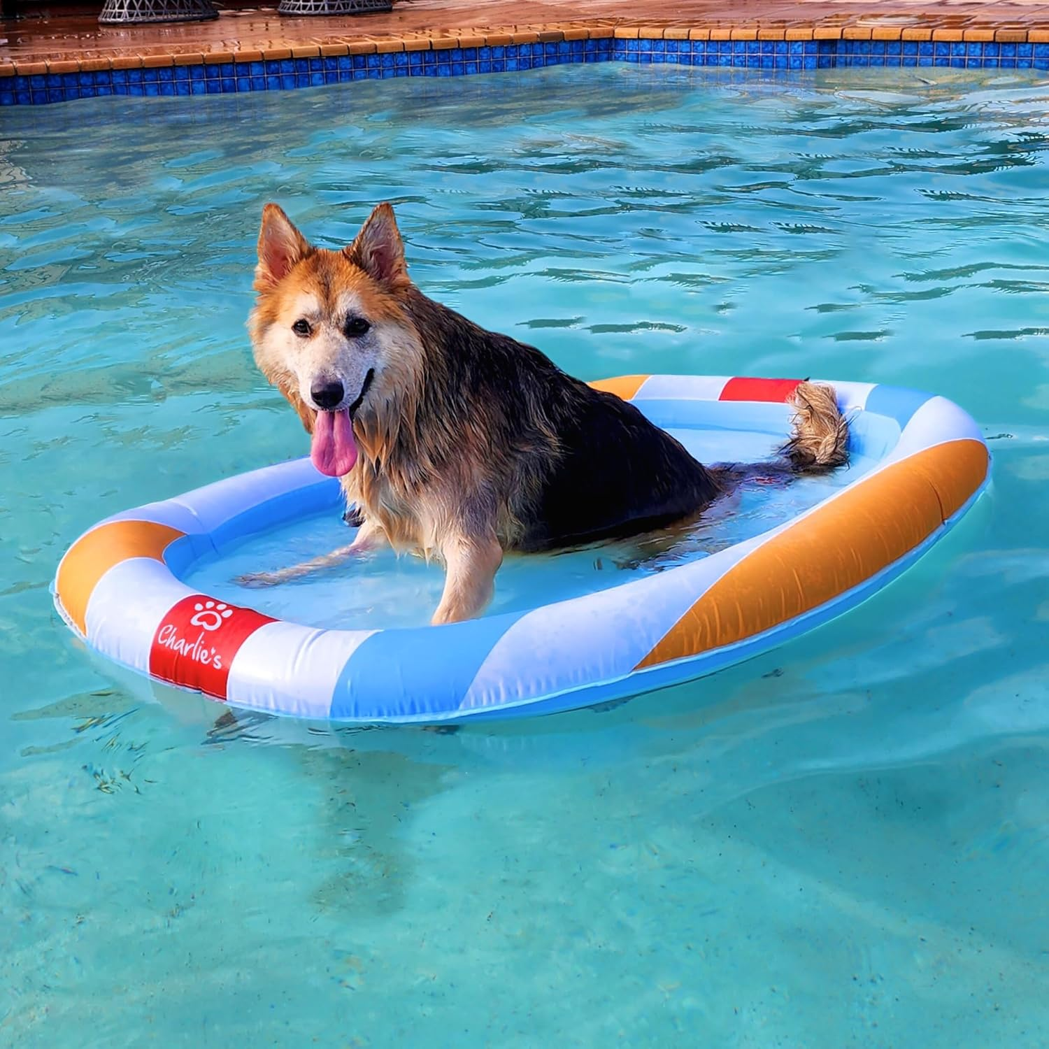 Charlie&rsquo;S Fun Furry Dog Pool Floatie Raft Boat Easy Set up Portable and Foldable Lightweight Design Clean Material Pet Dog Durable Floatie Beach Ball image number 6