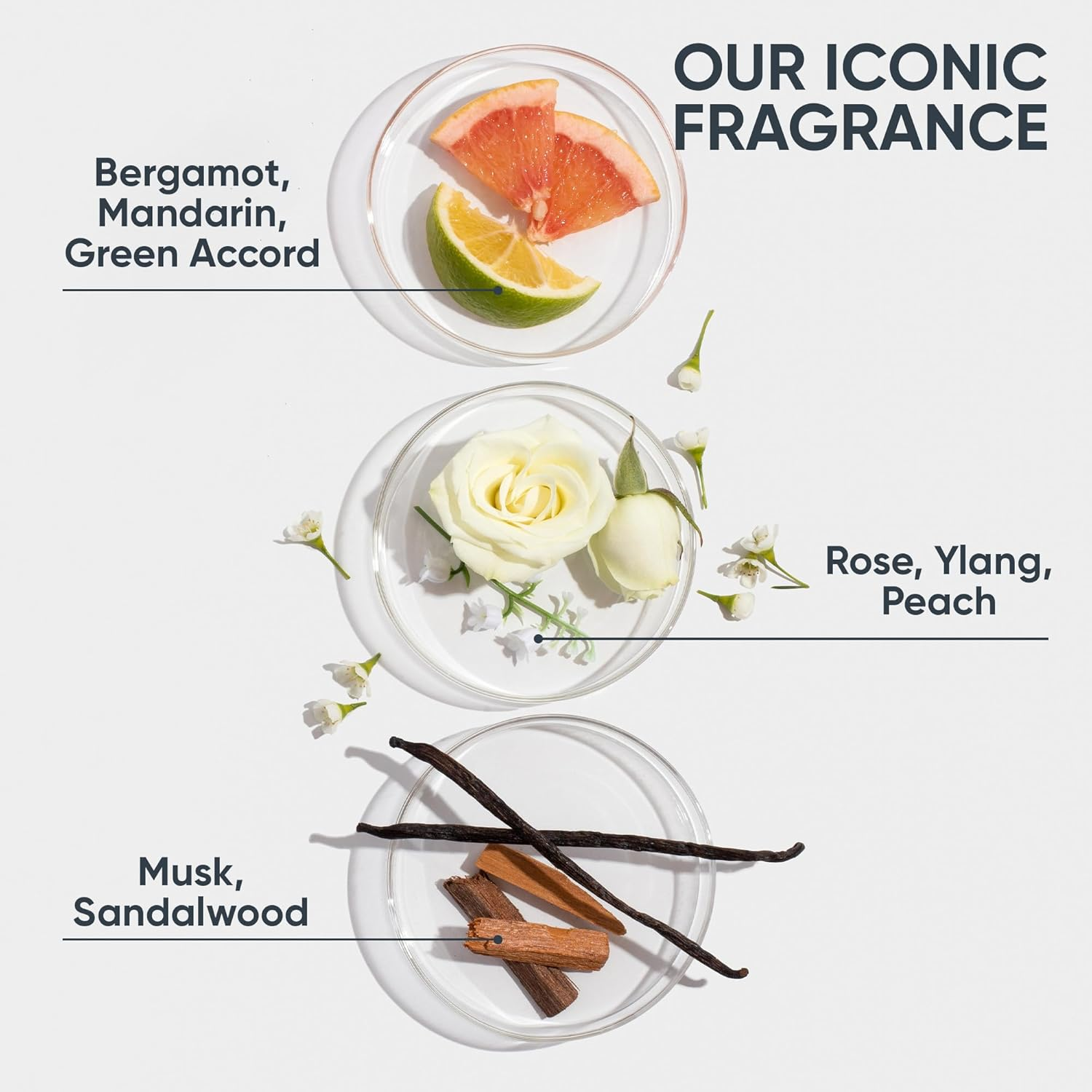 Matrix Biolage Hydrasource Conditioning Balm, 280 Ml