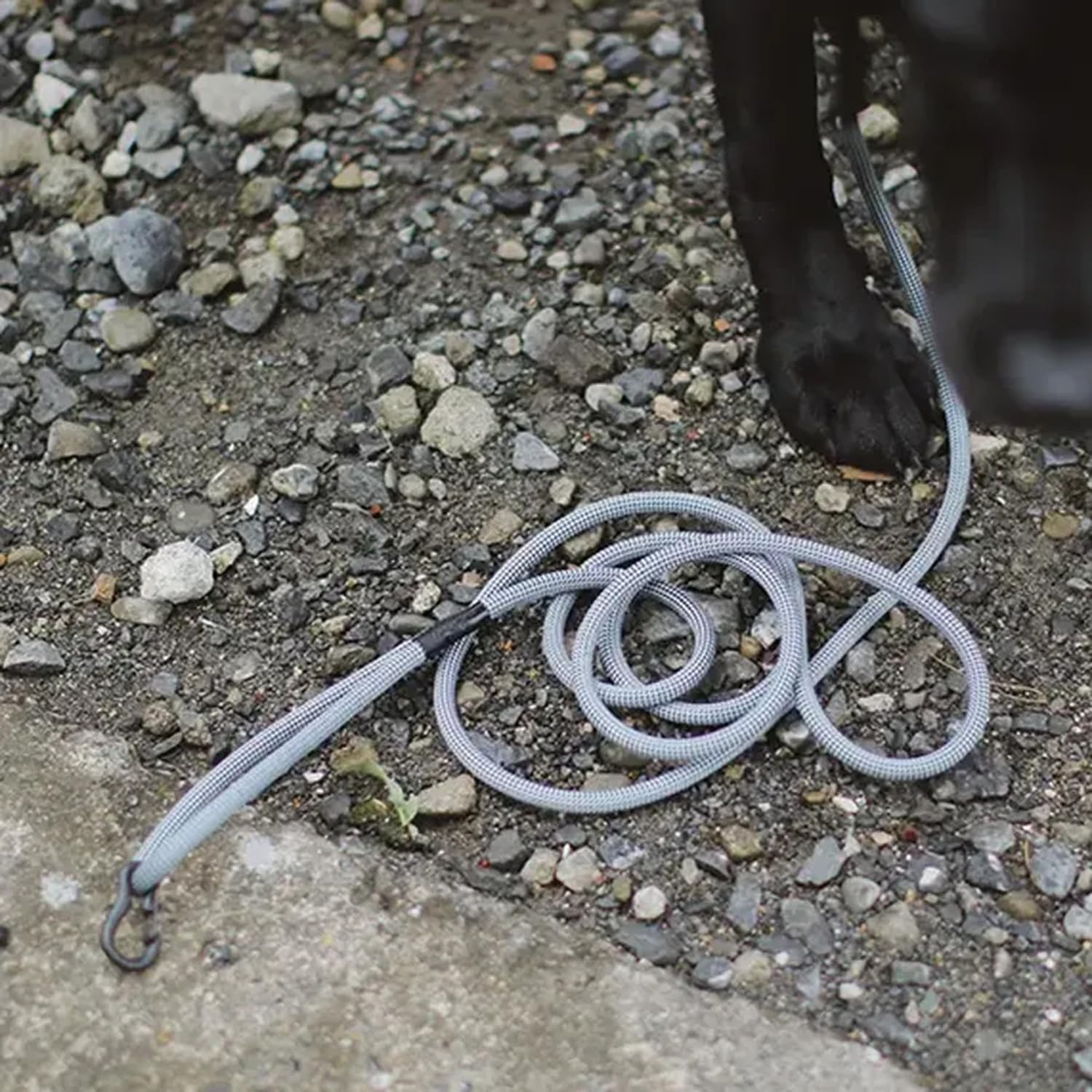 We Original Waterproof Rope Lead (3.9 Ft (1.4 M) / Good Manners Dog Series image number 1