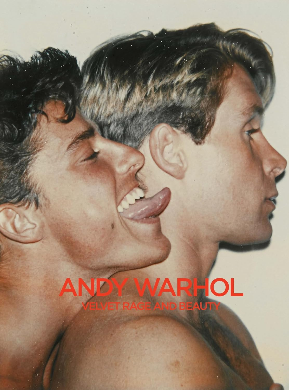 Andy Warhol: Velvet Rage and Beauty image number 2