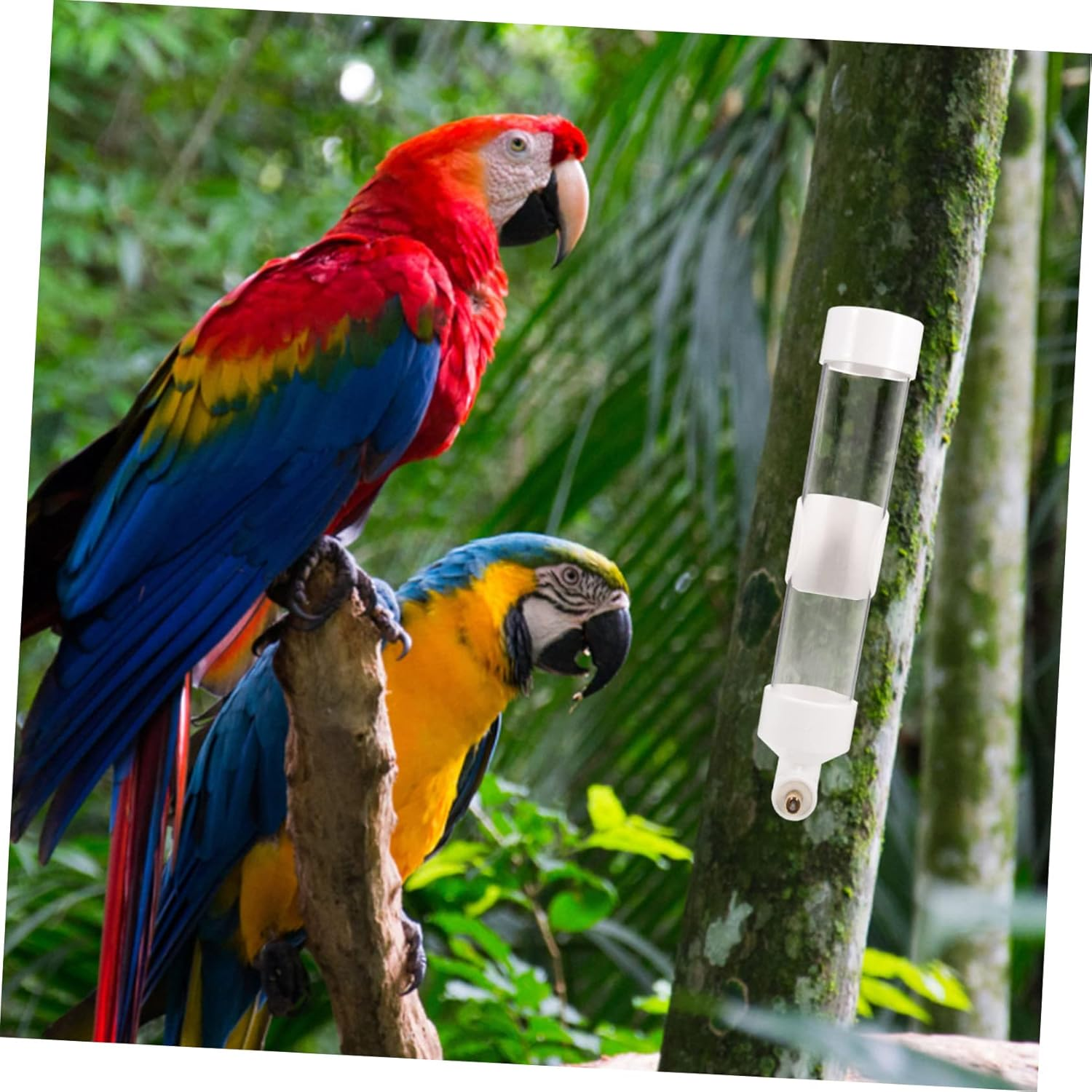 Parliky Large Capacity Bird Water Dispenser Pet Bird Water Feeder Cage Accessory image number 3