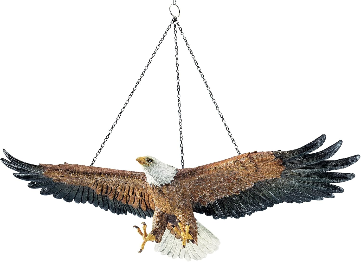 Liberty'S Flight Eagle Wall Sculpture [Kitchen] image number 5