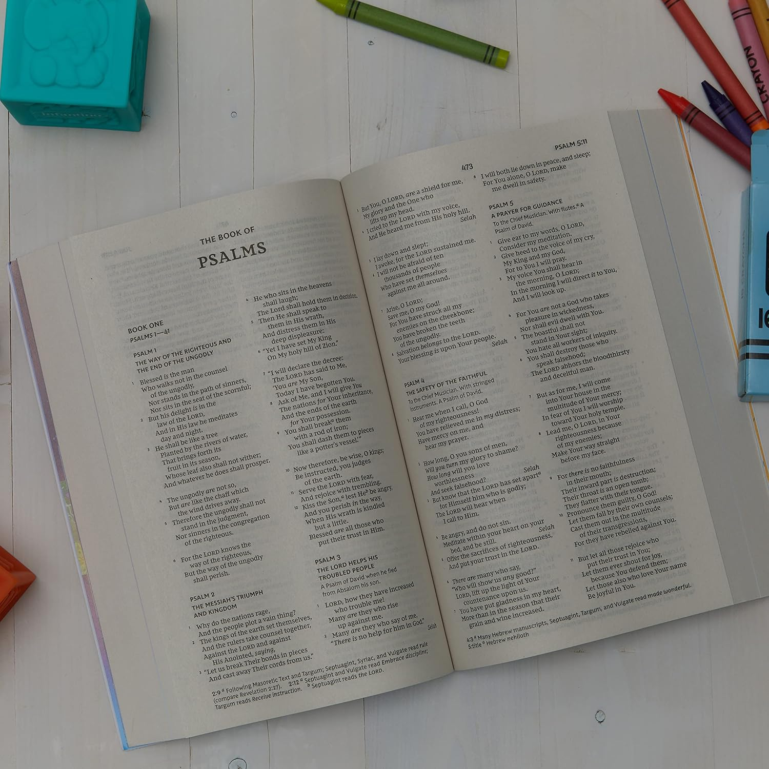 NKJV Children'S Outreach Bible: Holy Bible, New King James Version