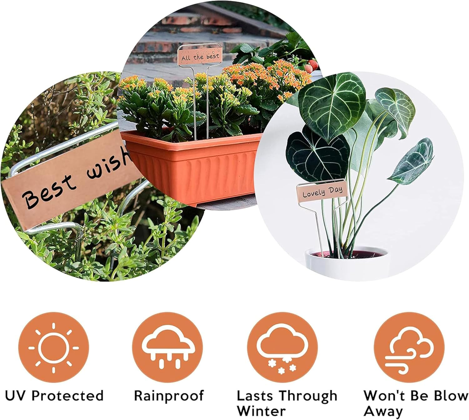 20-Pack Waterproof Copper Plant Labels - 25.5Cm Garden Markers for Seedlings, Flowers, Vegetables, and Herbs image number 2