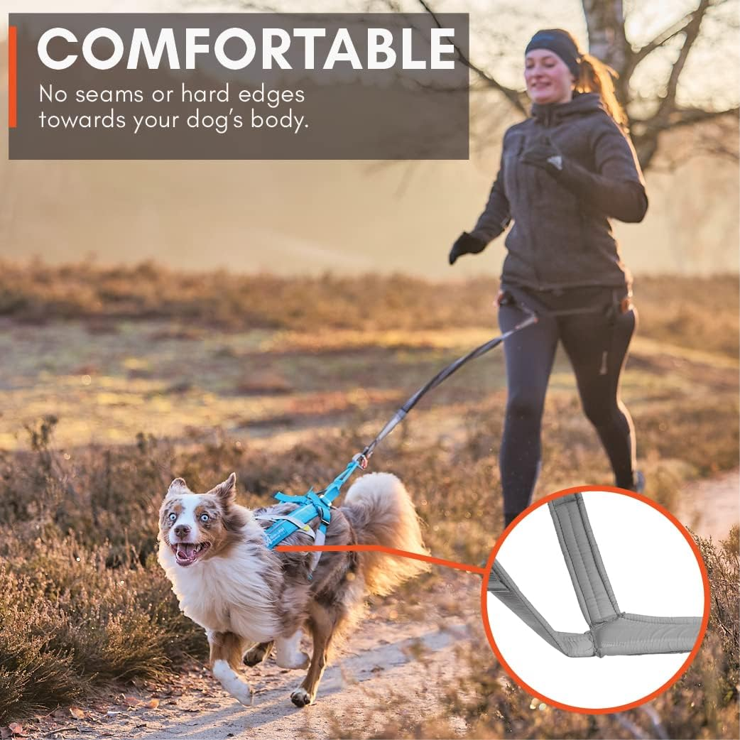 Non-Stop Dogwear Freemotion Harness 5.0 Dog Pulling Harness for Sports like Running, Biking and Skiing with Dogs, Professional Adjustable Dog Harness, Orange/Black, Size 4 image number 4