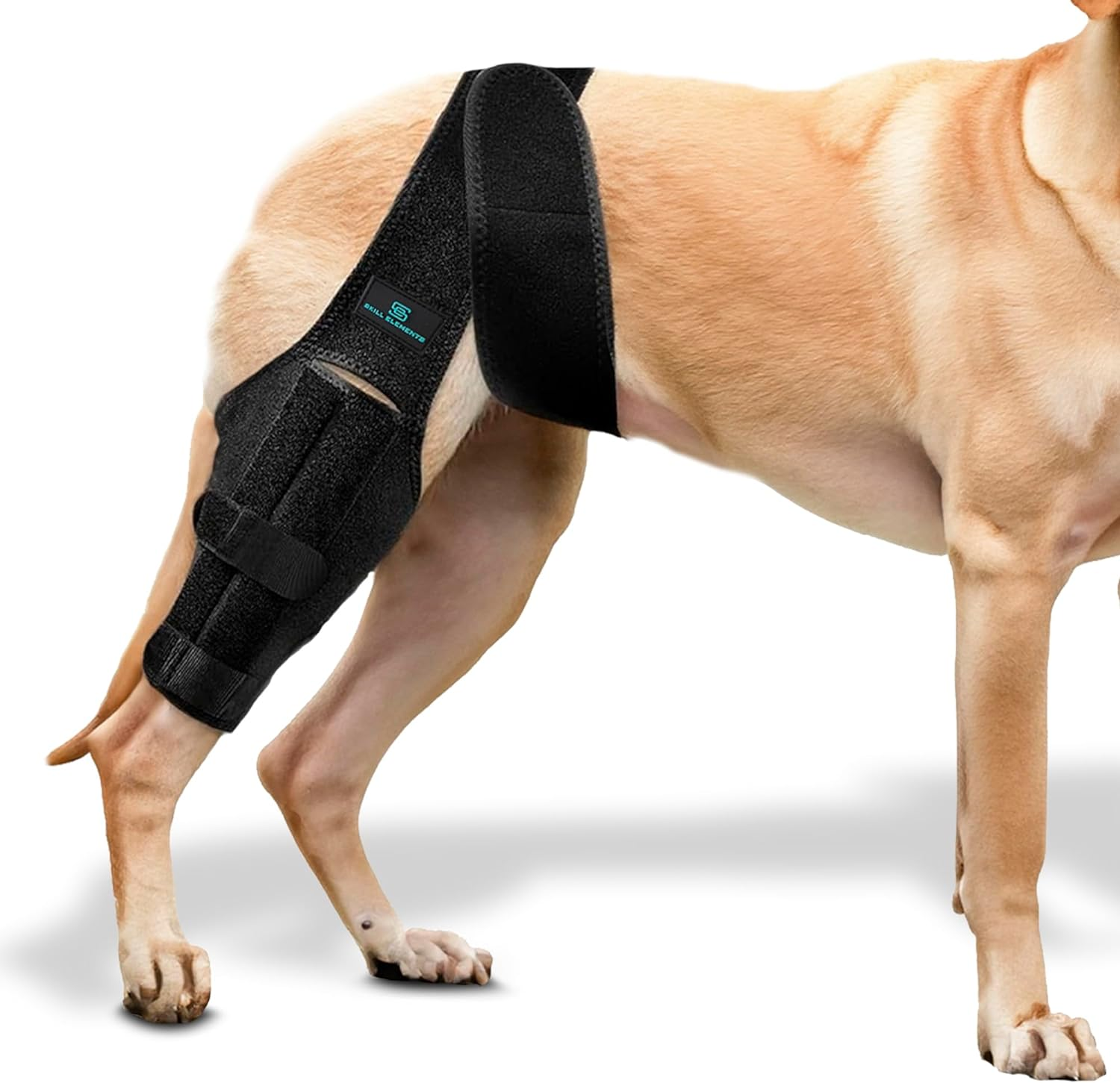 Dog Leg Braces for Back Leg - Dog Knee Brace for Support with Cruciate Ligament Injury, Joint Pain and Muscle Sore,- Dog Knee Brace for Torn ACL Hind Leg Adjustable Rear Leg Braces (Small) image number 4