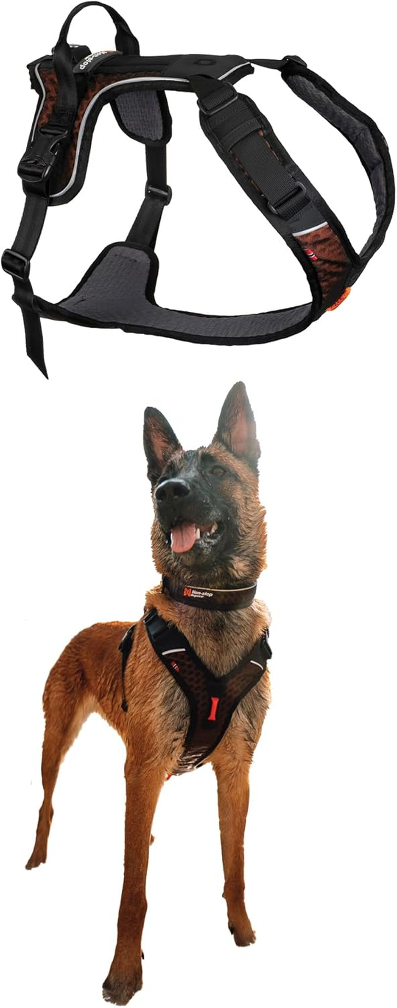 Non-Stop Dogwear Rock Harness Adjustable Dog Harness for Small Dogs with 3 Leash Clips, Handle and Reflective, Black/Orange, Size S