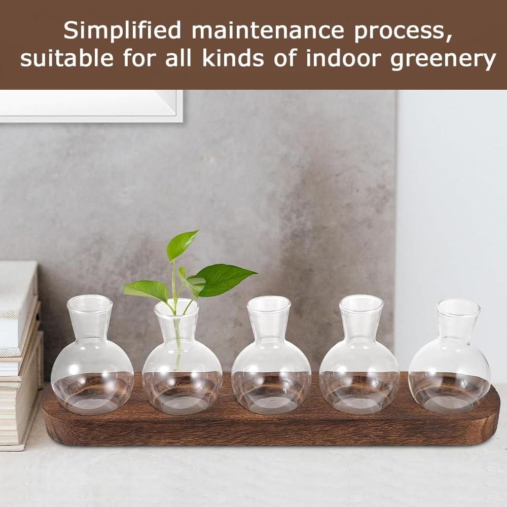 5-Piece Mini Acrylic Vase, Modern Bud Jardiniere Collection, Decorative Tabletop Bottle, with Wooden Holder for Flowers, Centerpieces & Home D&eacute;cor image number 4