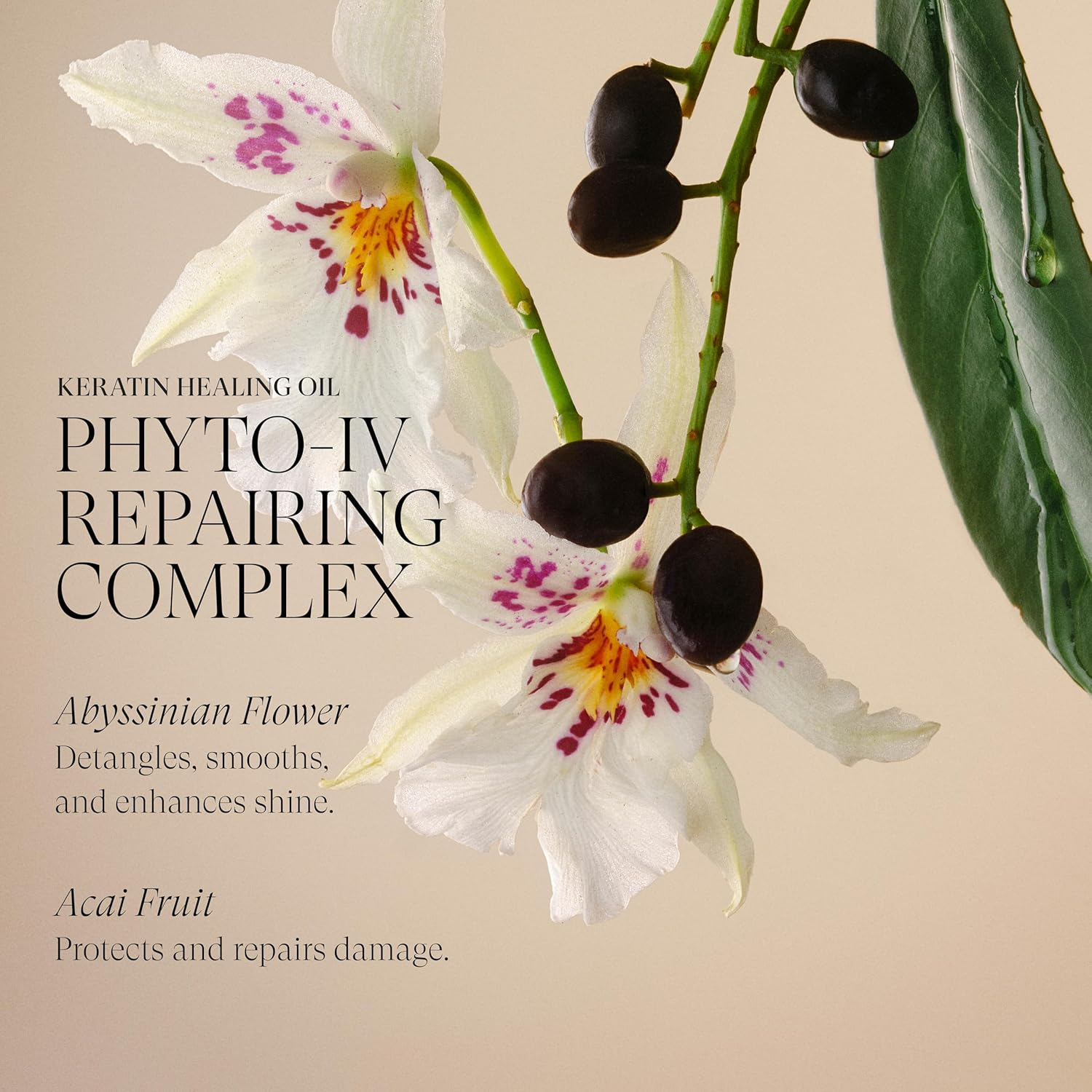 L'ANZA Keratin Healing Oil Shiny Conditioner for Damaged Hair (250 Ml), Nourishes, Repairs, Shine & Strength for a Silky Look, Sulphate Free, Paraben Free, Gluten Free, Hair Conditioner image number 6