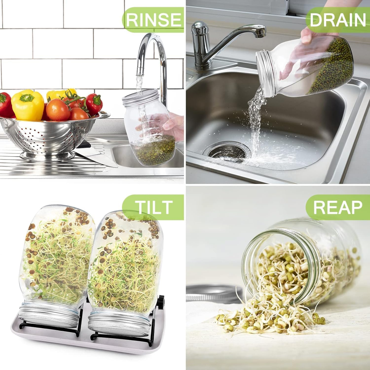 2Pcs Sprouting Jar Kit &ndash; Wide Mouth Mason Jars with Stainless Steel Lids, Stand & Tray | Organic Seed Sprouter for Broccoli, Alfalfa, Mung Beans | Healthy Home Growing Kit for Vegans & Gardeners image number 3