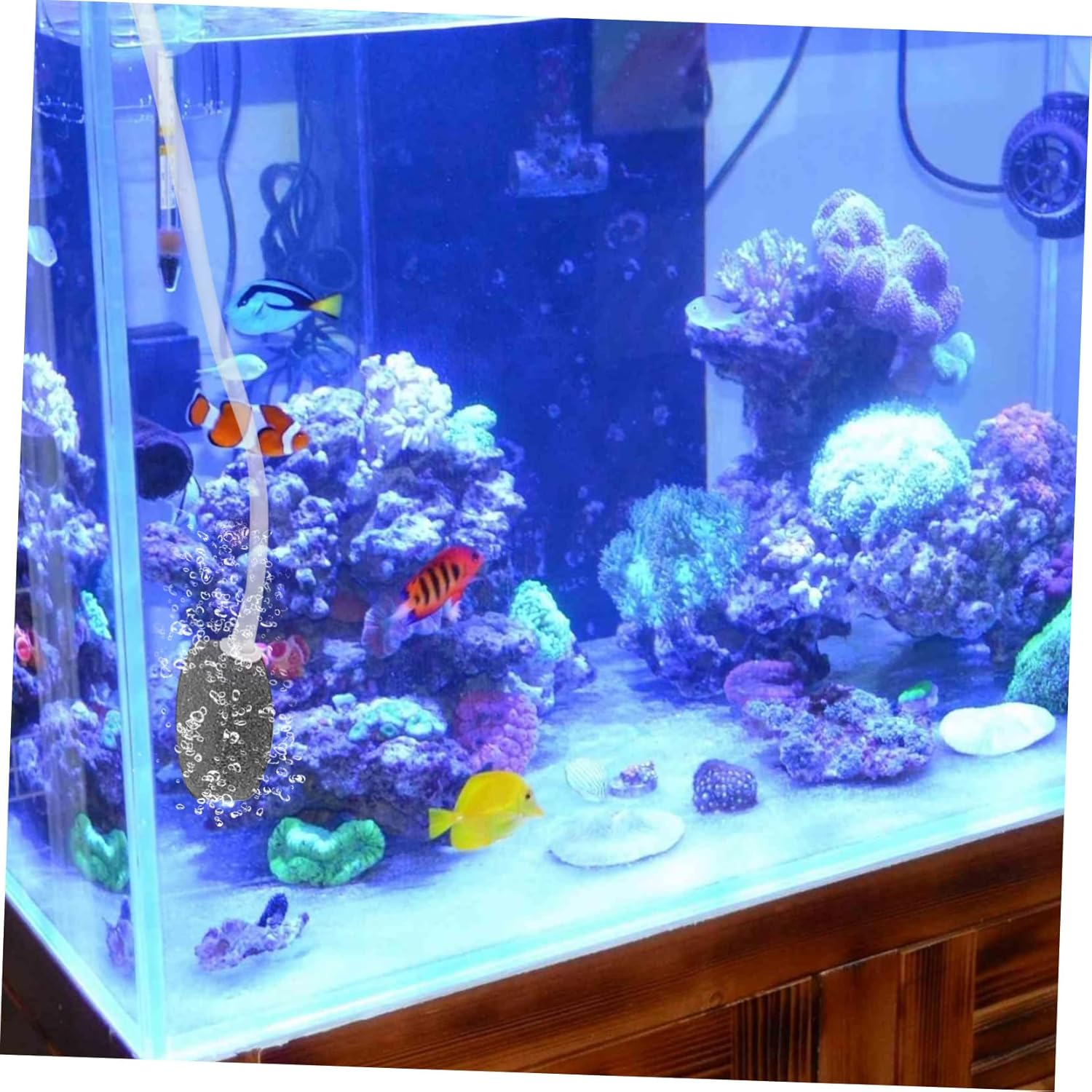 Angoily 1Set Usb Air Pump for Fish Tanks Portable Aquarium Oxygen Pump Air Tube Quiet and Efficient for Aquatic Plants and Pet Fish for Home and Outdoor Use image number 1