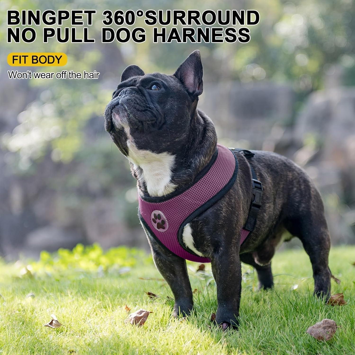 BINGPET Dog Vest Harness -Light Weight Breathable Sports Mesh - Pet Adjustable Harness Puppy Padded Harnesses Dog Vest Harness for Small Dogs image number 2