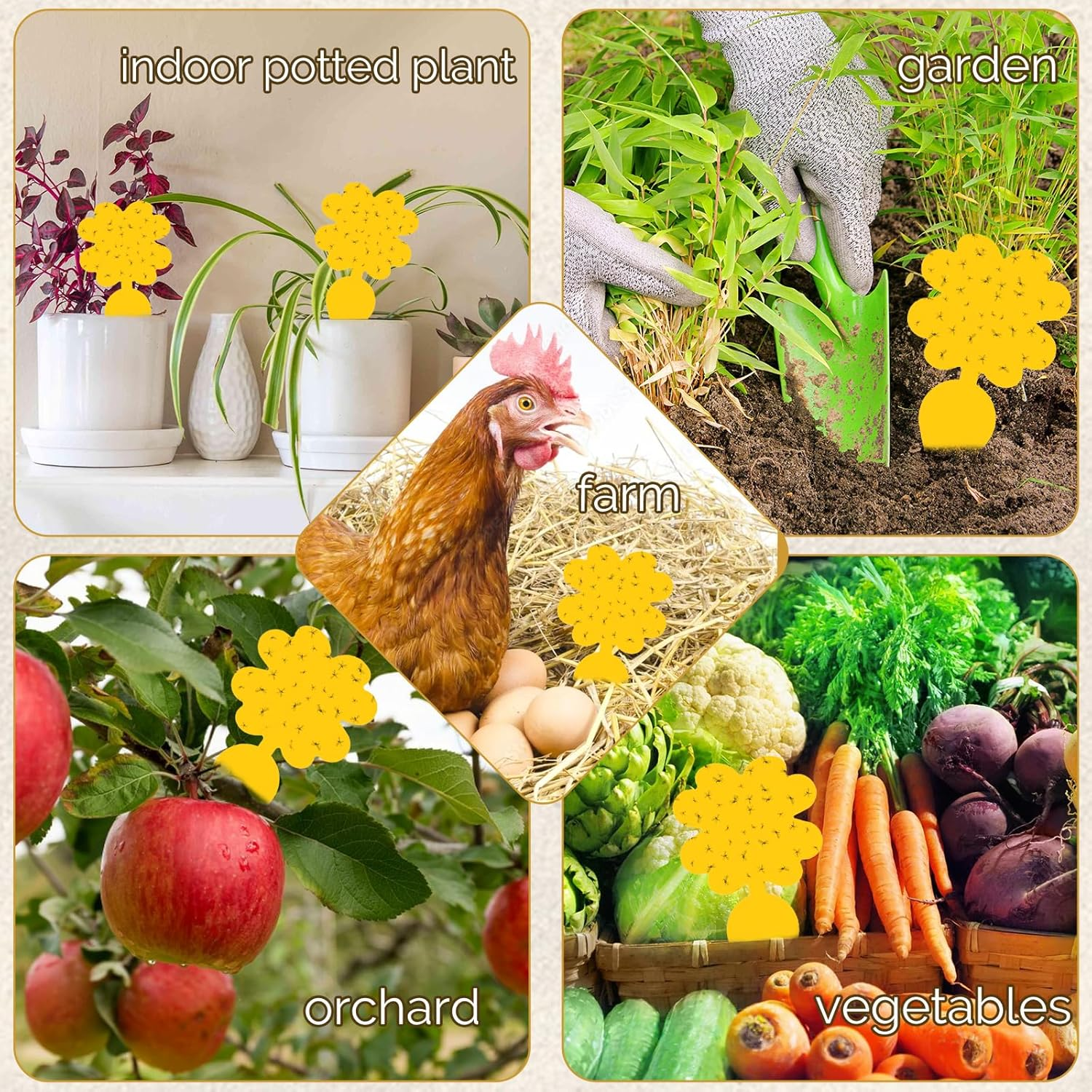 60 Pack Fruit Fly Sticky Trap,Portable Insect Traps for Mosquito Flies Moths,Waterproof Disposable Fly Sticker for Plant,Outdoor Indoor Use image number 4