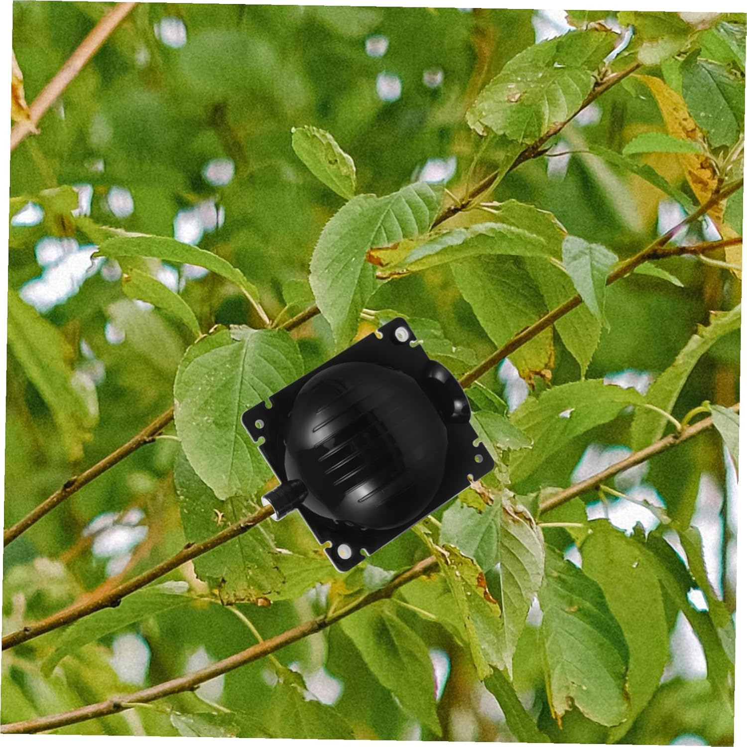 YARNOW 10Pcs Plastic Plant Rooting Boxes High Pressure Propagation Balls Grafting Root Growing Devices for Garden and Indoor Use Sturdy Structure image number 4