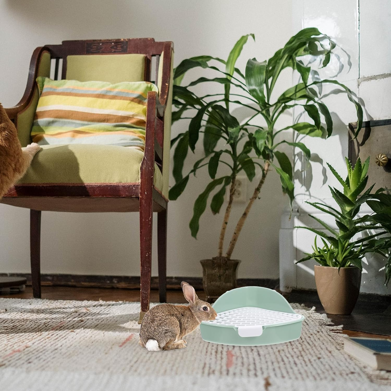 OHPHCALL Small Animals Litter Box Mint Green Corner Potty with Anti-Tip Design for Rabbits, Guinea Pigs, Chinchillas &ndash; Compact Bunny Cage Toilet for Pet Hygiene and Training image number 1