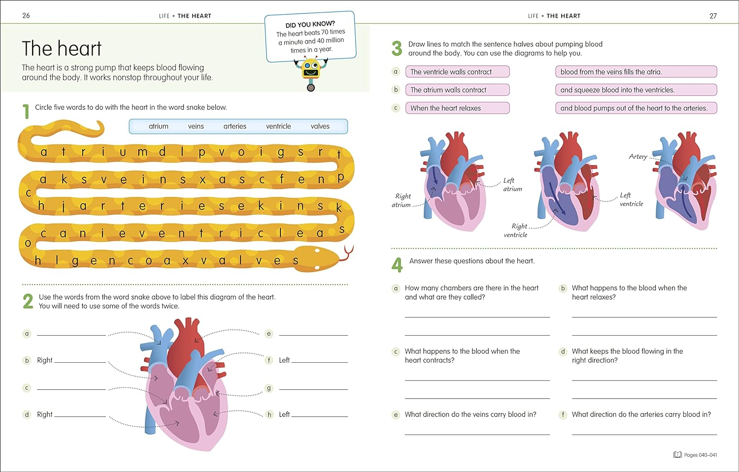 How to Be Good at Science, Technology and Engineering Workbook 1, Ages 7-11 (Key Stage 2): the Simplest-Ever Visual Workbook image number 4