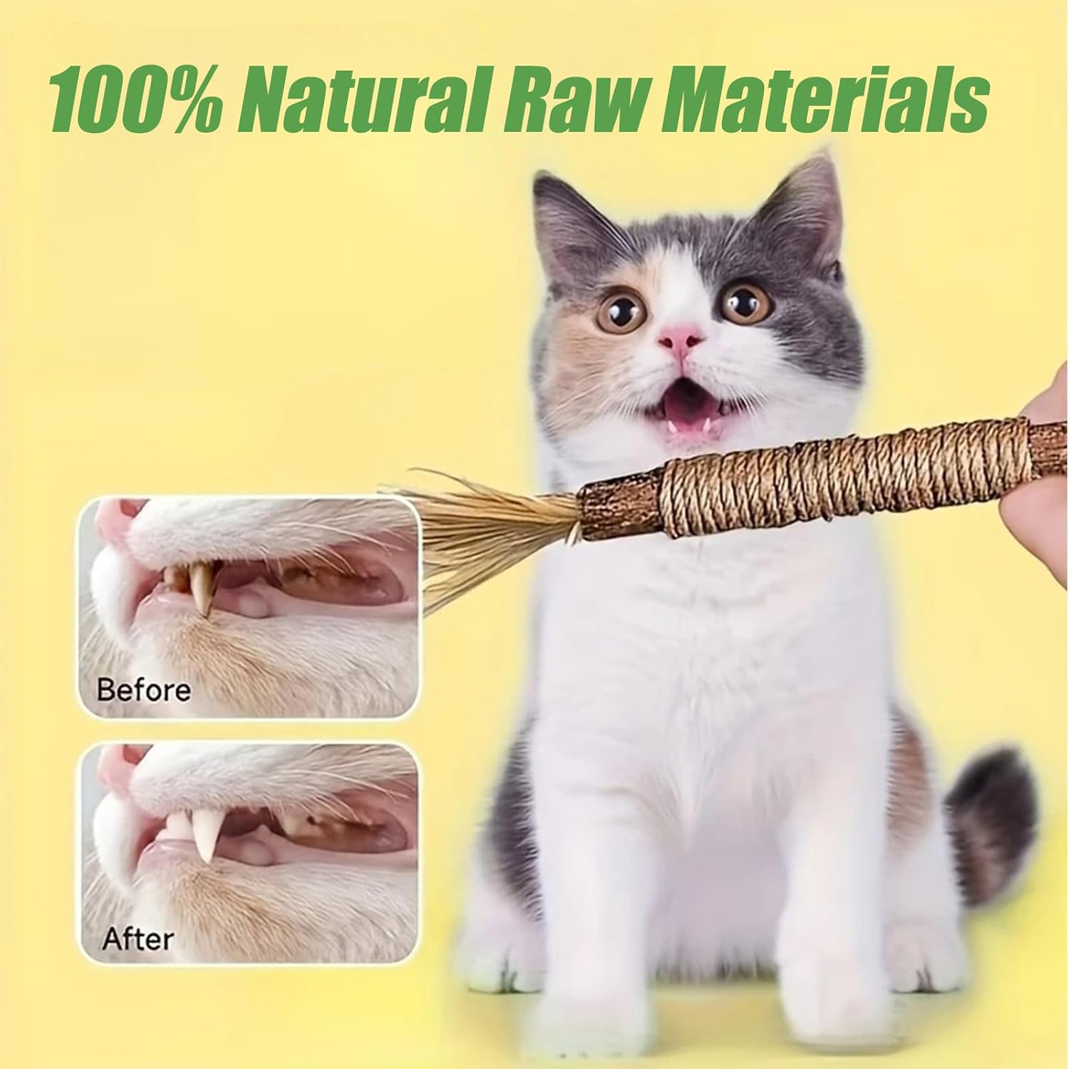 6 Pack Silvervine Chew Sticks for Cats, Natural Catnip Chew Toys for Kittens Teeth Cleaning, Dental Care, Increase Appetite, Calm Cat Anxiety and Stress, Aggressive Chewers Cat Dental Toy