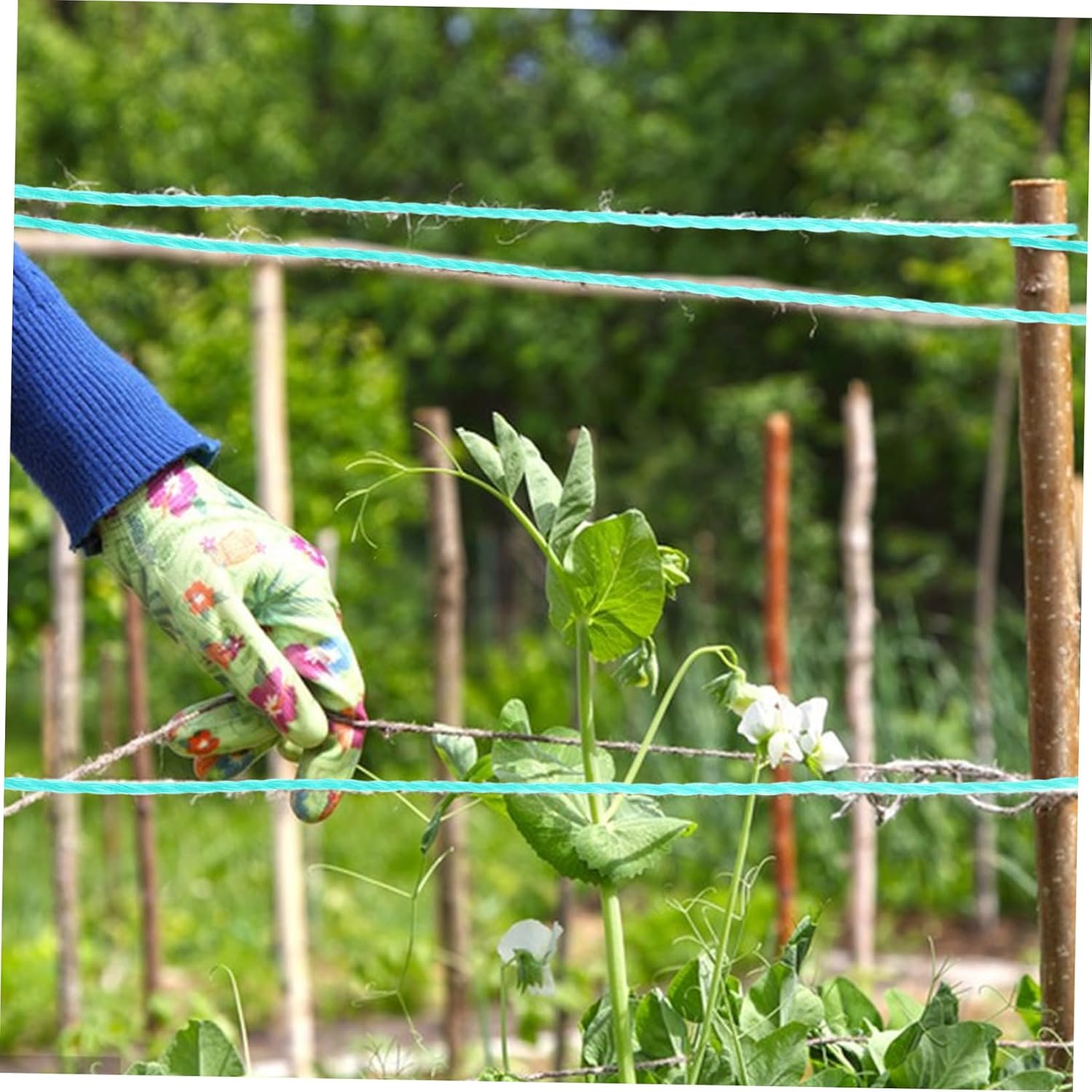 1 Roll Polyethylene Twine String for Climbing Plants Garden Twine Rope Fishing Net String Multi-Strand Green Rope for DIY Projects and Gardening Supplies image number 3