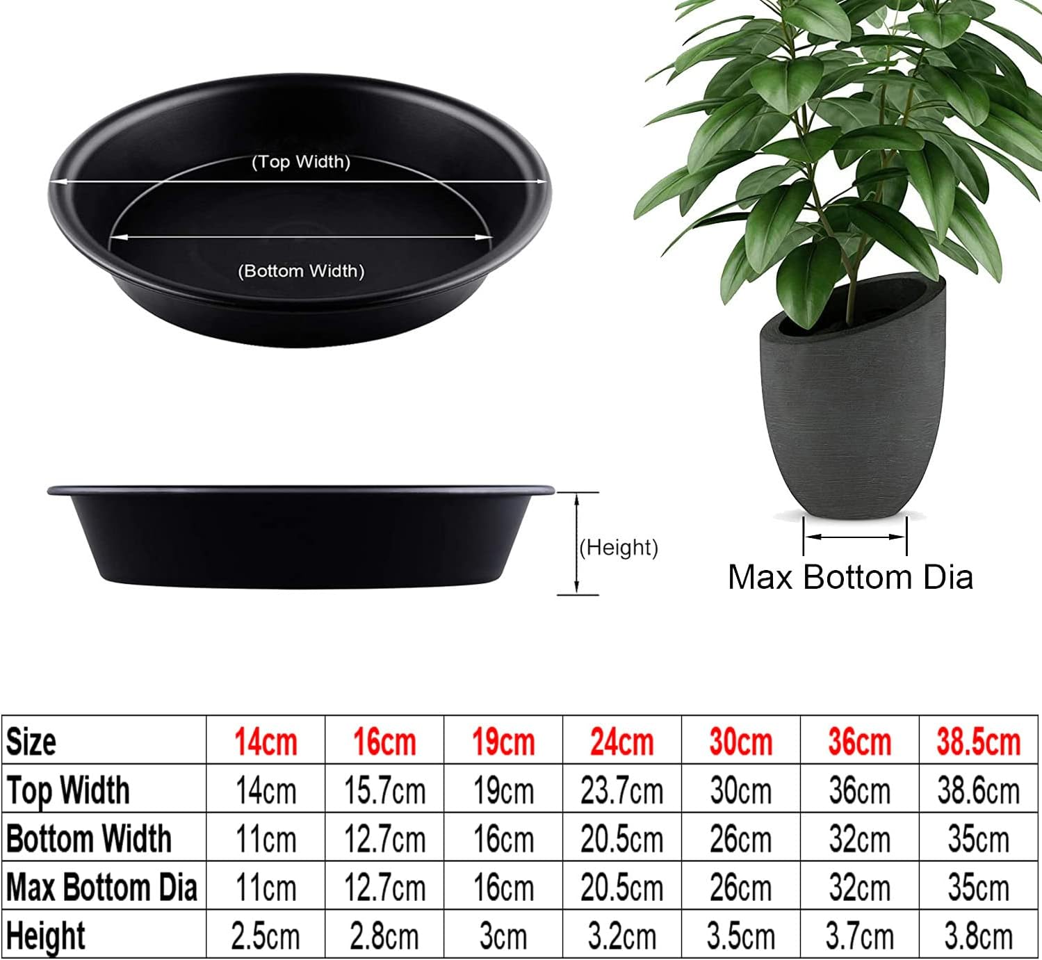 Tstarjungle 6 Pack Plant Saucers, Flower Pot Drip Trays for Indoor/Outdoor Plants Garden Saucers Plant Pot Saucer Trays, Surface Protection for Household Plants - 16Cm image number 5