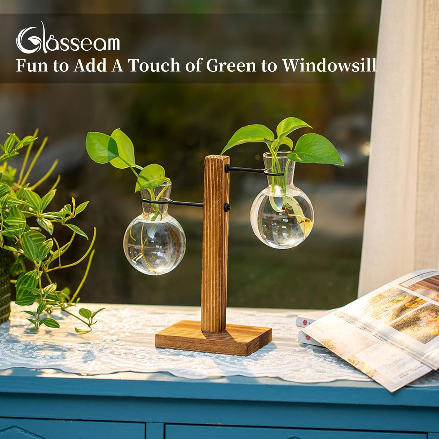 Glasseam Plant Propagation Station Glass Terrarium Cute Propogation Stations Hydroponic Vase Bulb Planter for Indoor Plants Desktop Propagated Jars for Home Office Decor Birthday image number 2