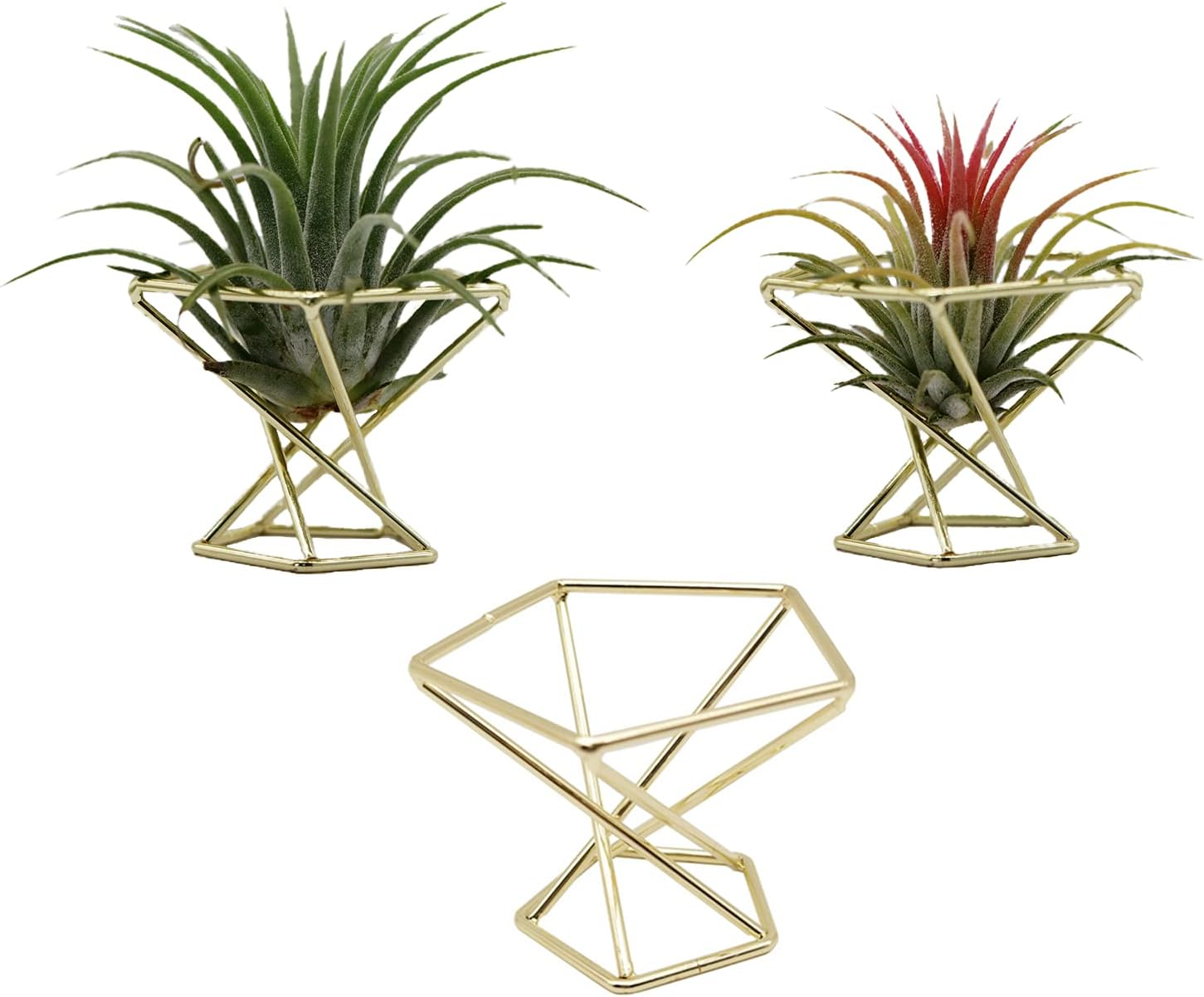 Pack 5 Gold Air Plant Holder Air Plants Holders Tillandsias Display Air Purifying Plant Container Air Fern Stand Geometric Decor for House, Wedding Party