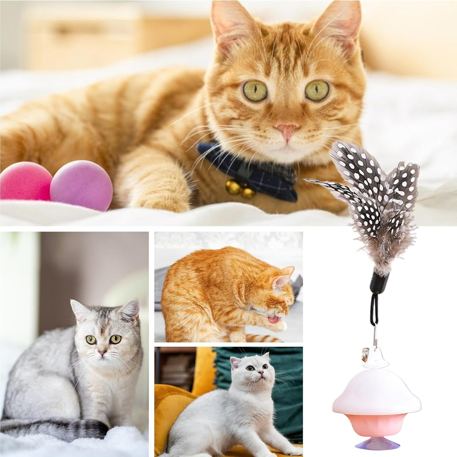 Cat Retracting Toy,Chew-Resistant Companion | Retractable Bored Cat Toy | for Small Medium Large Breeds Living Room Bedroom Study Room Balcony image number 6