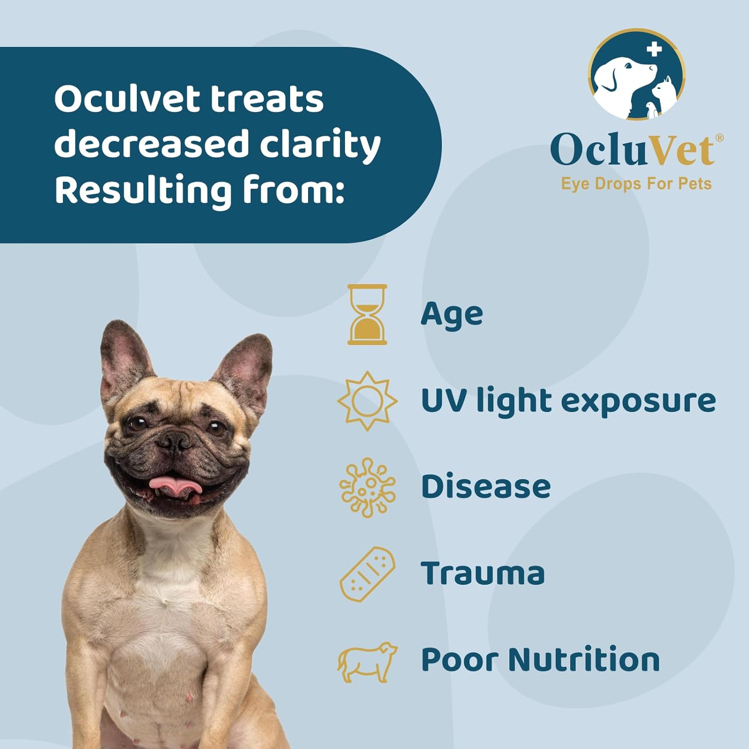 Ocluvet Eye Drops for Pets | Clinically Studied Antioxidants for Pets with Cataracts | Made in the USA | Includes 2% N-Acetyl-L-Carnosine (NAC) | 16Ml image number 5