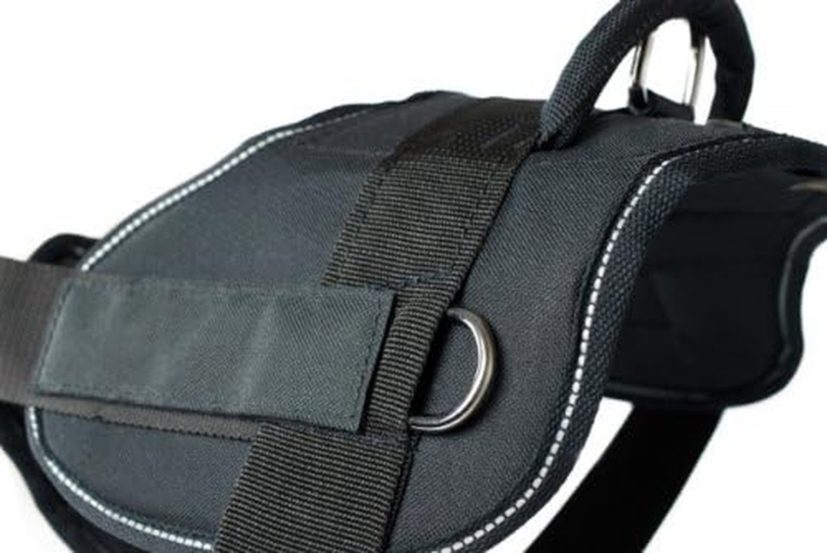 Dean & Tyler Black with Reflective Trim Fun Dog Harness with Padded Chest Piece, on Duty, X-Large, Fits Girth Size 34-Inch to 47-Inch image number 4