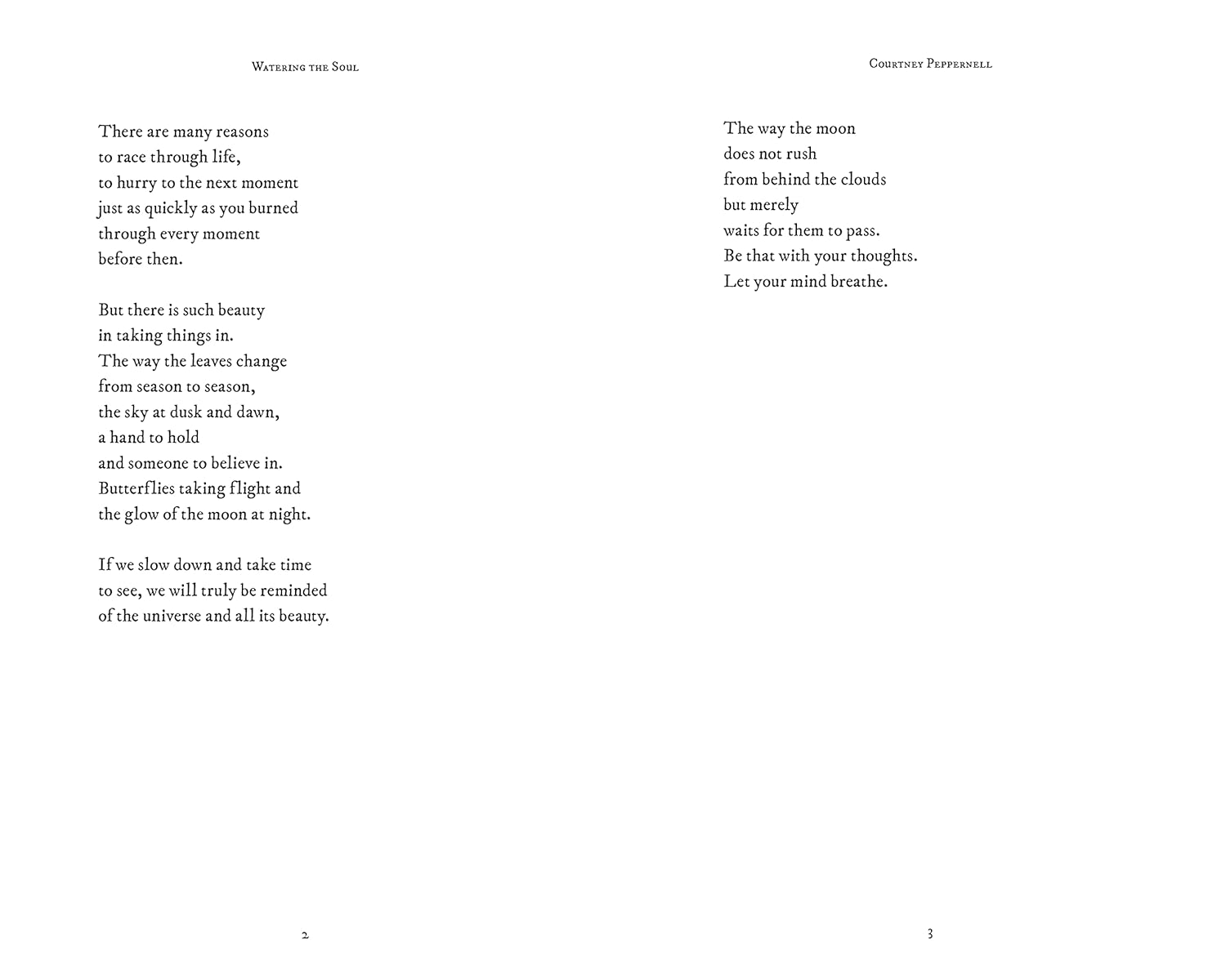 Watering the Soul image number 3