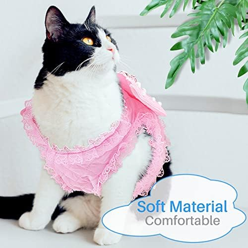 Kalevel Dog Harness for Dogs No Pull No Escape Female Male Comfortable Cute Blue Lace Angel Wings Leash Clip Pet Vest Harnesses