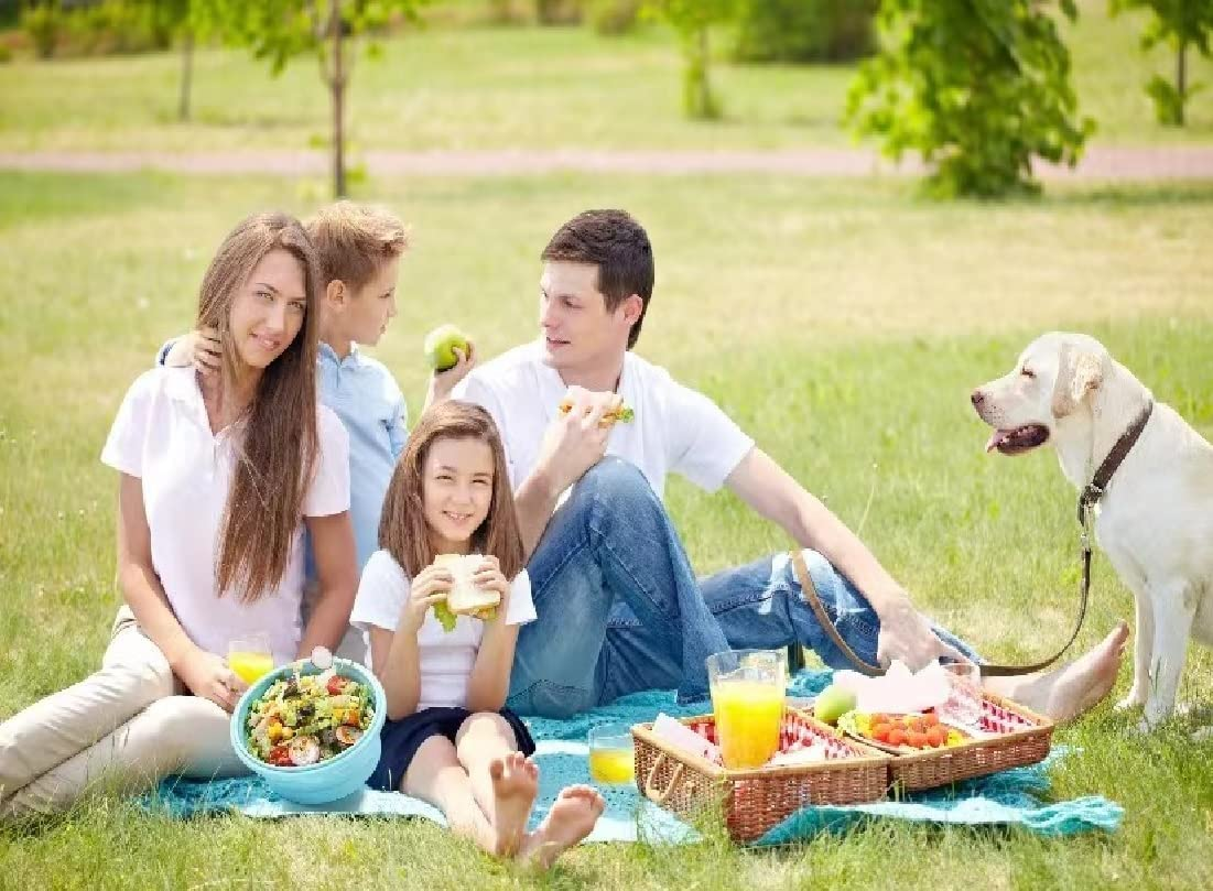 3Pack Collapsible Silicone Food Storage Containers with Lid 17OZ Foldable Lunch Bowls for Microwave Freezer Dishwasher Safe (500Ml Round)