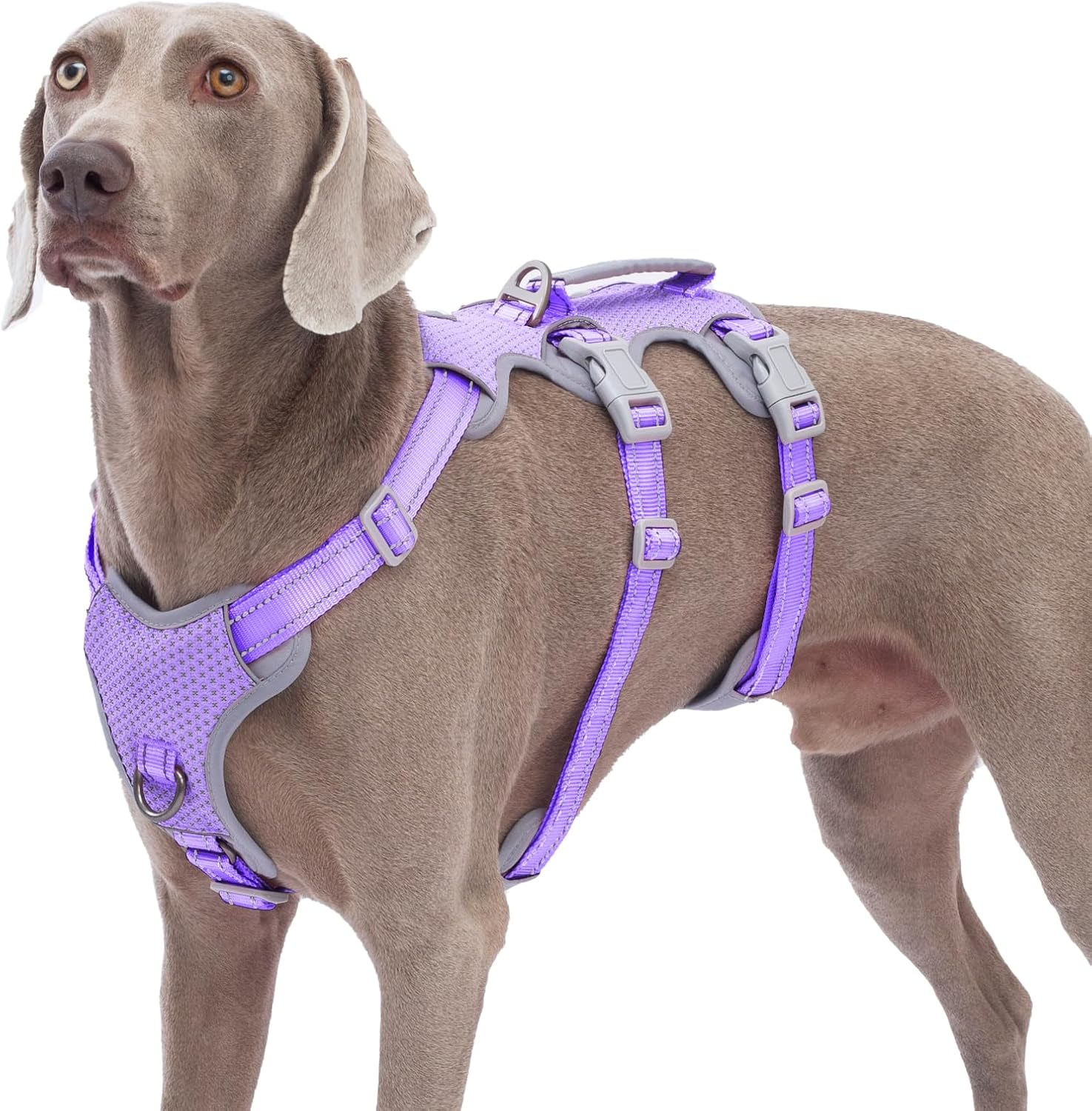 Dog Harnesses Escape Proof, Escape Artist Harness, Fully Reflective Harness with Padded Handle, Breathable, Durable, Adjustable Vest for Large Dogs Walking, Training, and Running Gear (Pink,L)