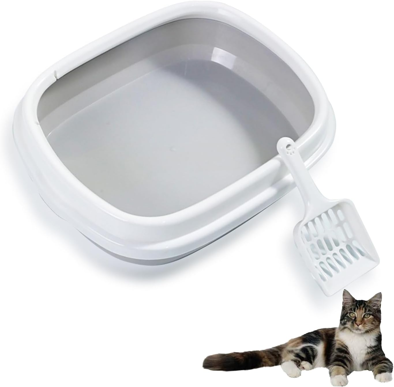 Yharnamite Kitten Small Cat Litter Box Pan with Removable Enclosure and Scoop, Low Entry Open Litter Box, Anti-Leakage Easy Clean, Kitten Toilet (Green)