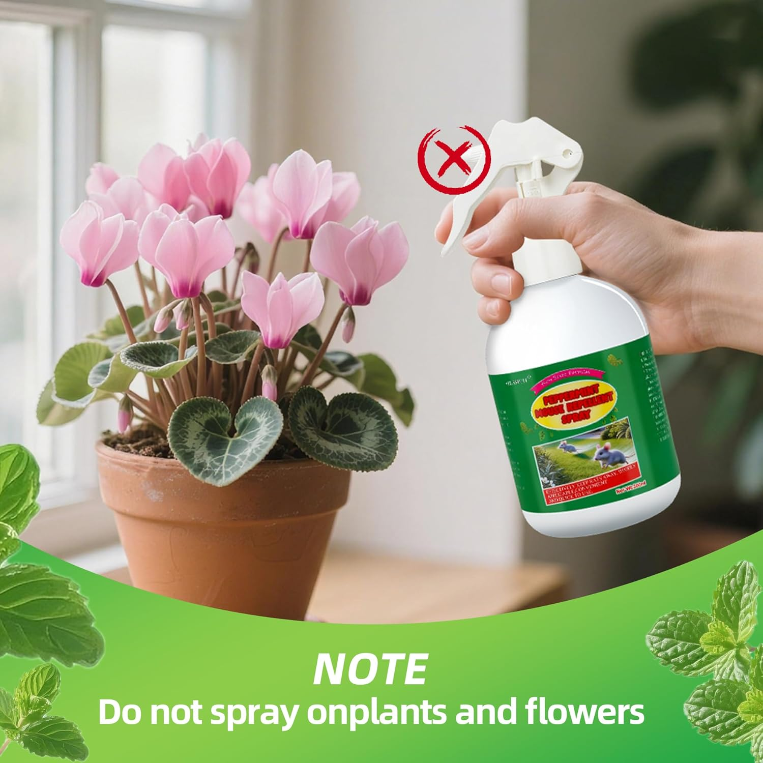 Peppermint Oil Rat Deterrent Control Spray - Long Lasting Rodent Deterrent for Cars, Natural & Safe Mouse Repellent, Easy Application (300ML) image number 5